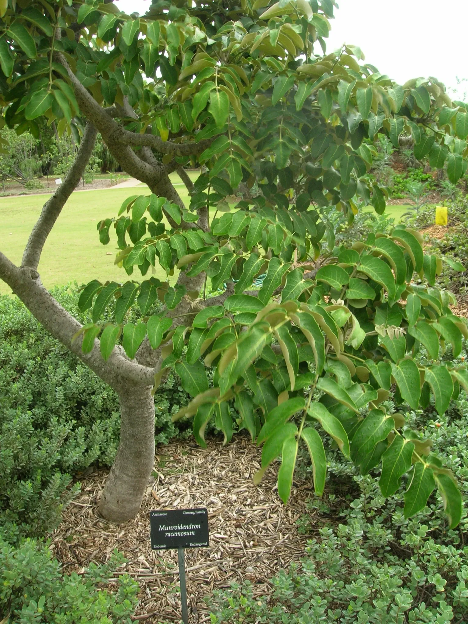 Maui Nui Botanical Gardens