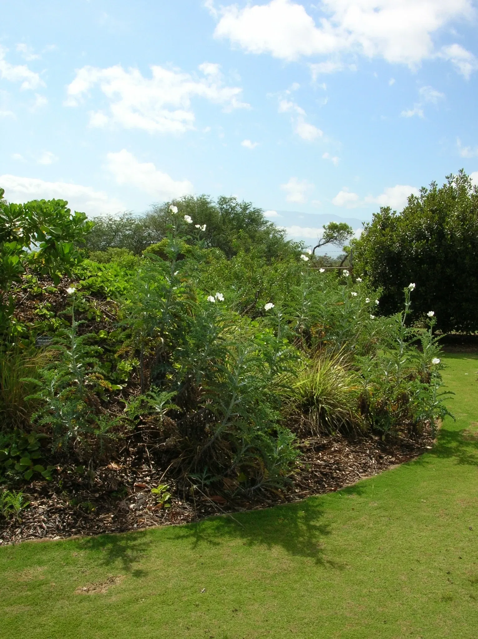 Jardín botánico de Maui Nui