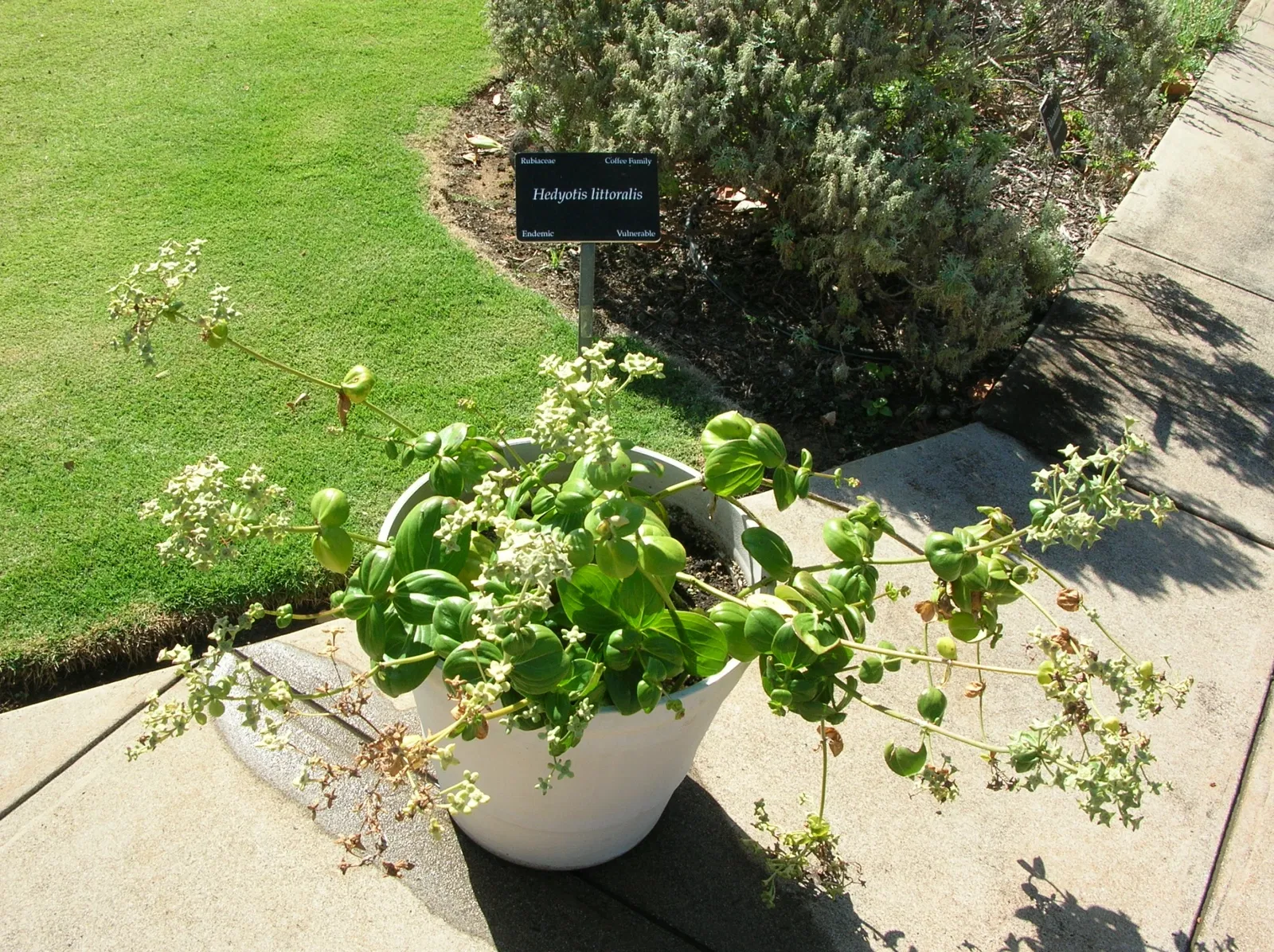 Maui Nui Botanical Gardens