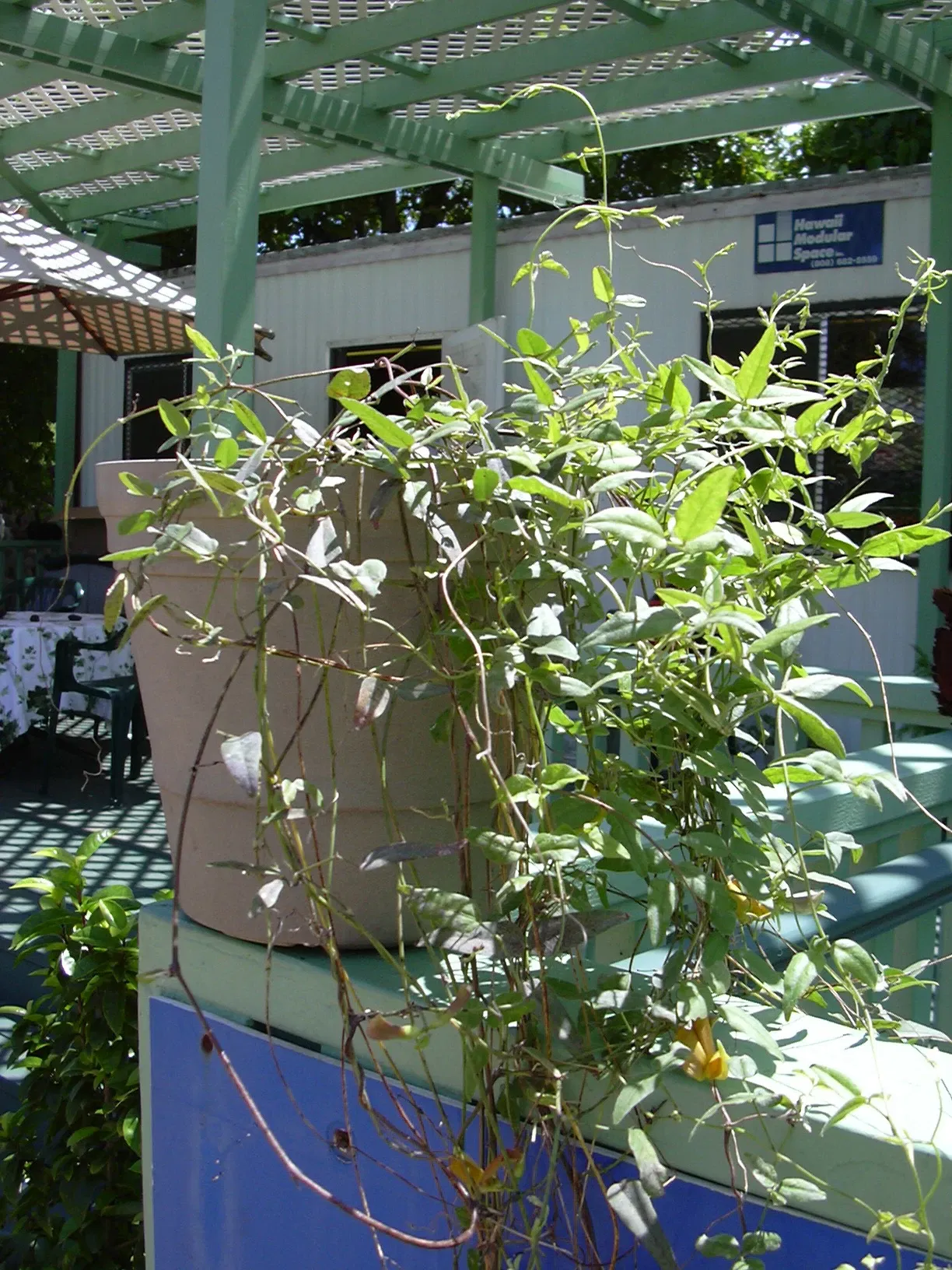 Jardín botánico de Maui Nui