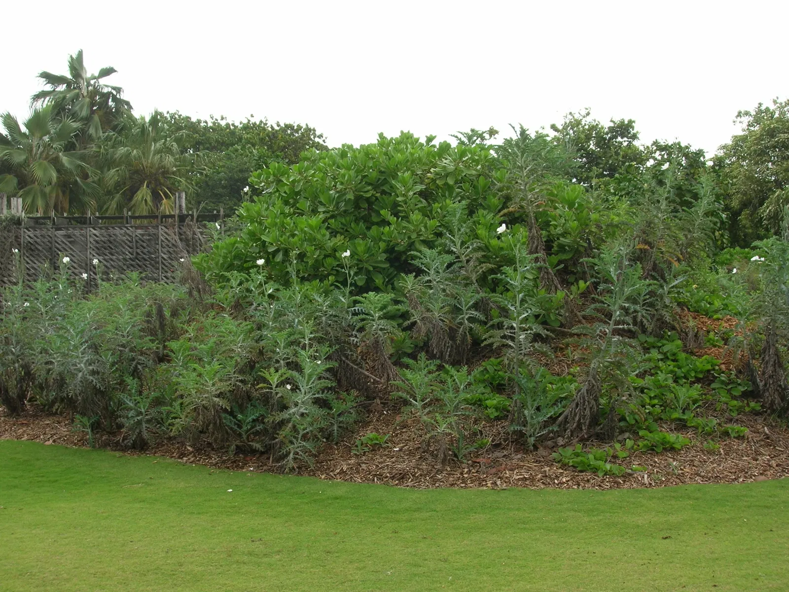 Jardín botánico de Maui Nui