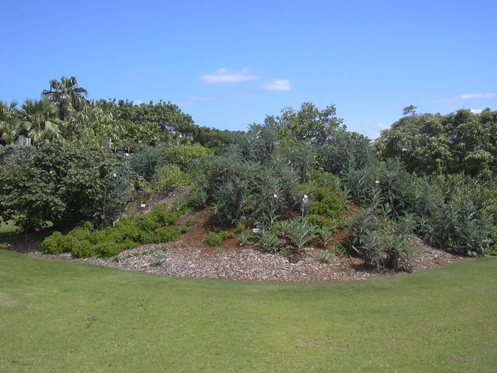 Maui Nui Botanical Gardens