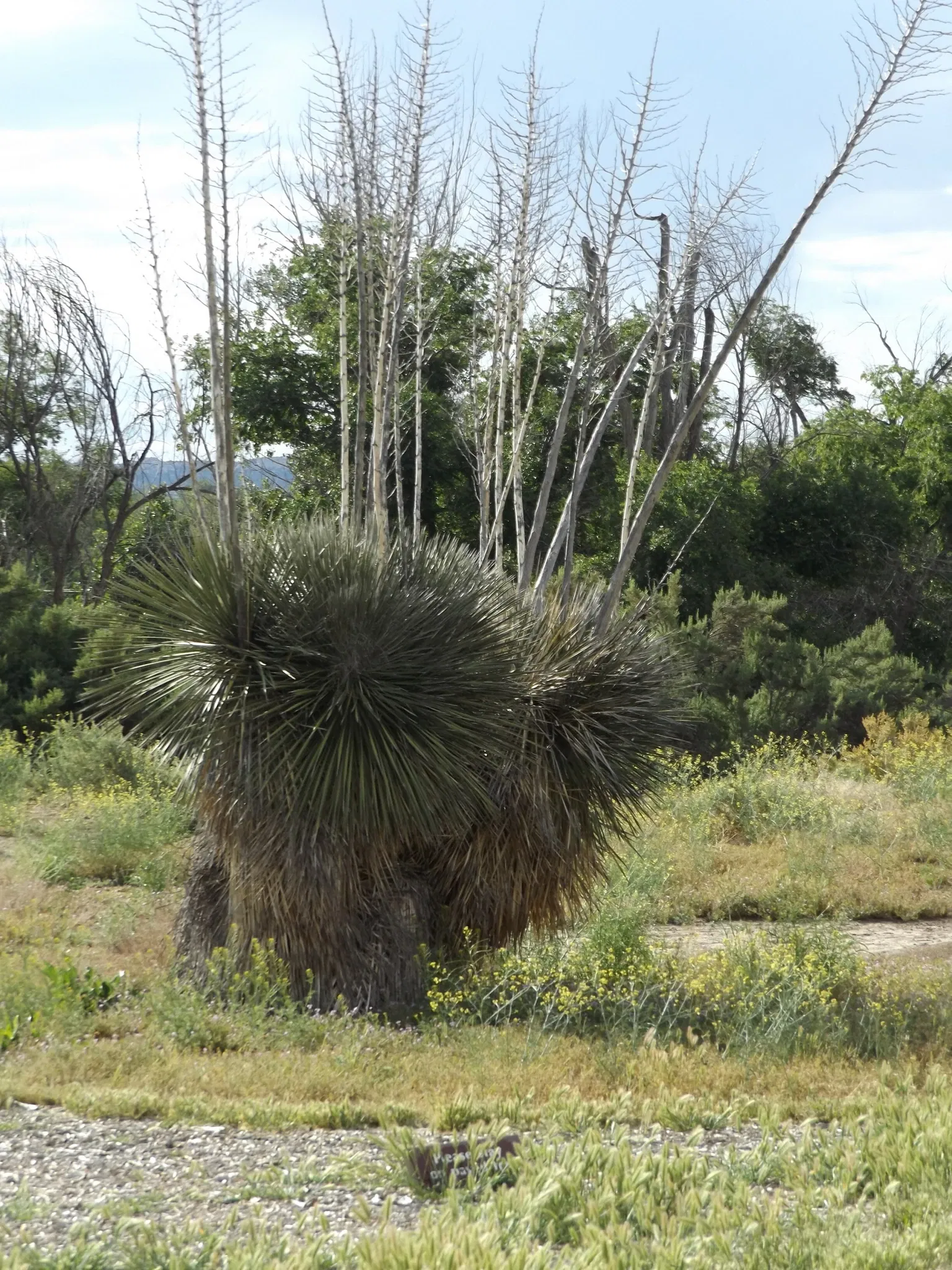 Aztec Ruins National Monument Visitor Center
