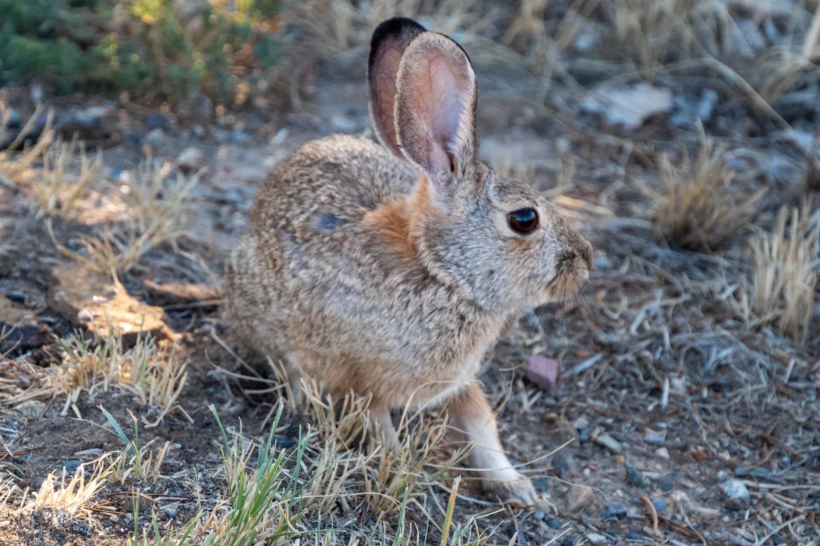 Aztec Ruins National Monument
