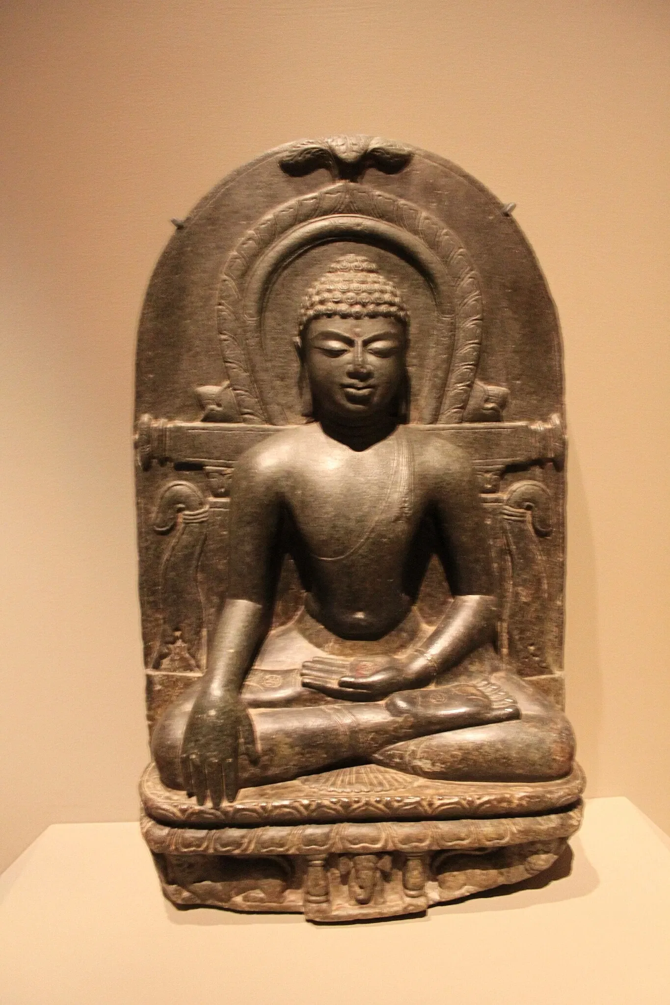 Michael C. Carlos Museum