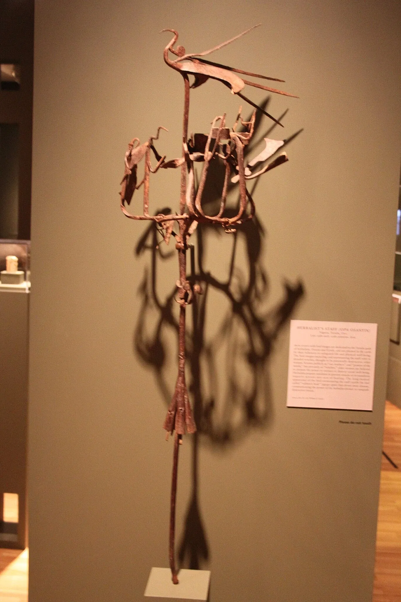 Michael C. Carlos Museum