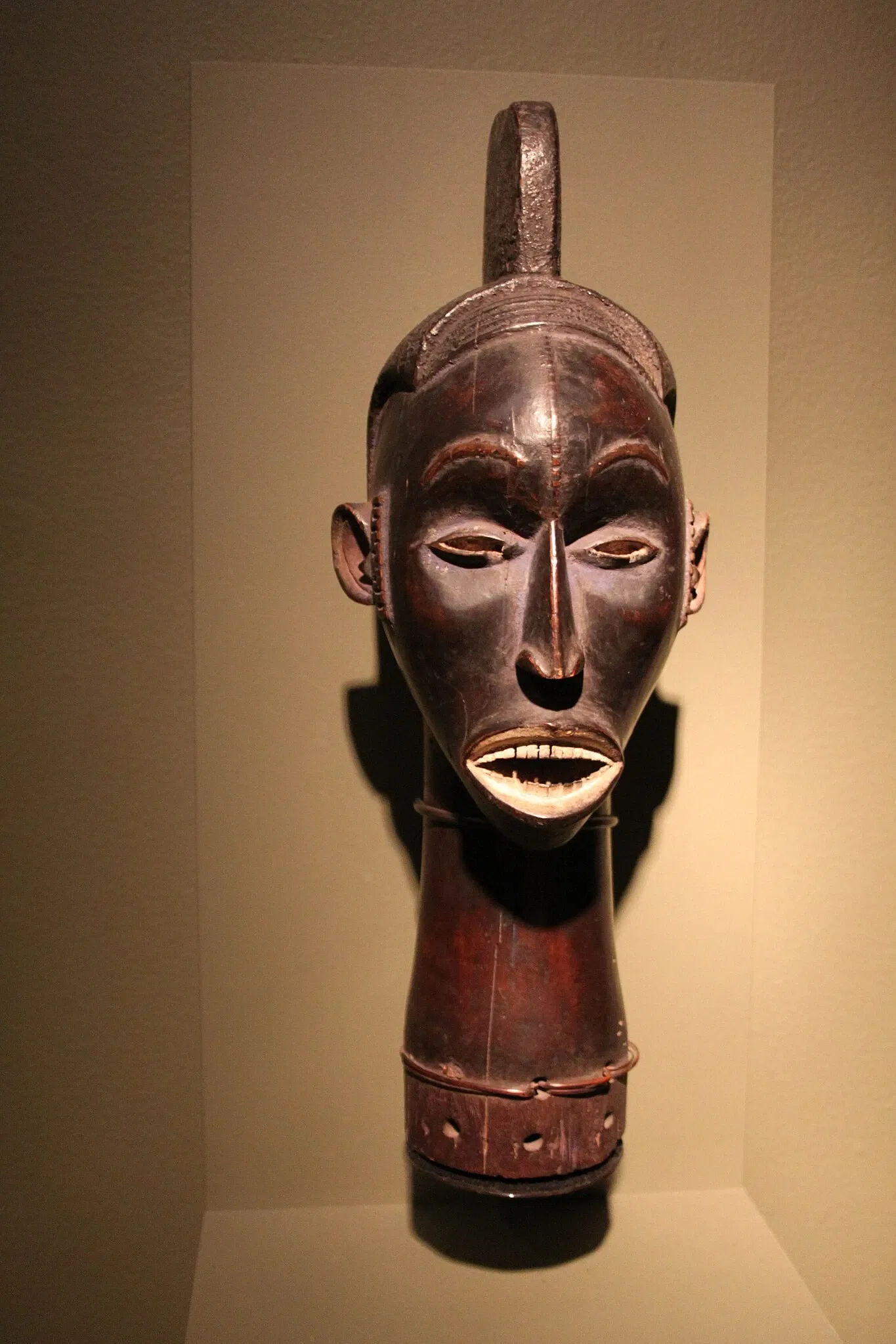 Michael C. Carlos Museum