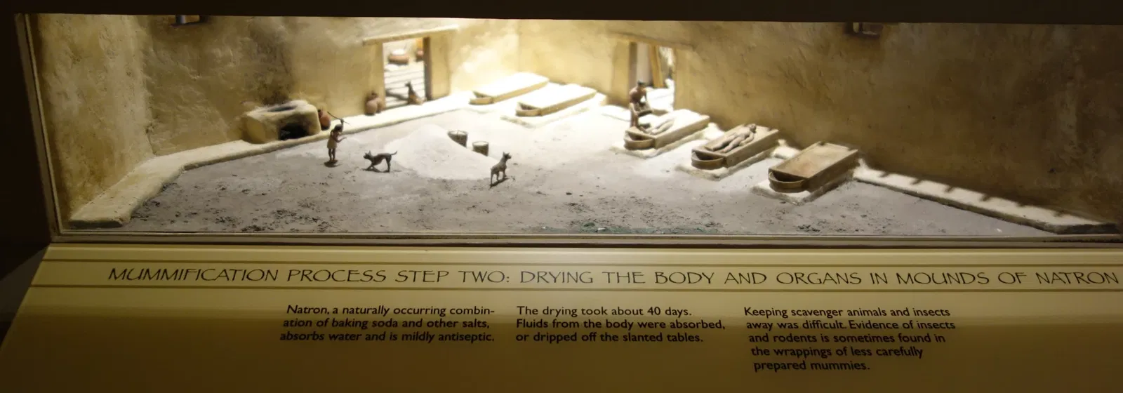 Fitchburg Art Museum