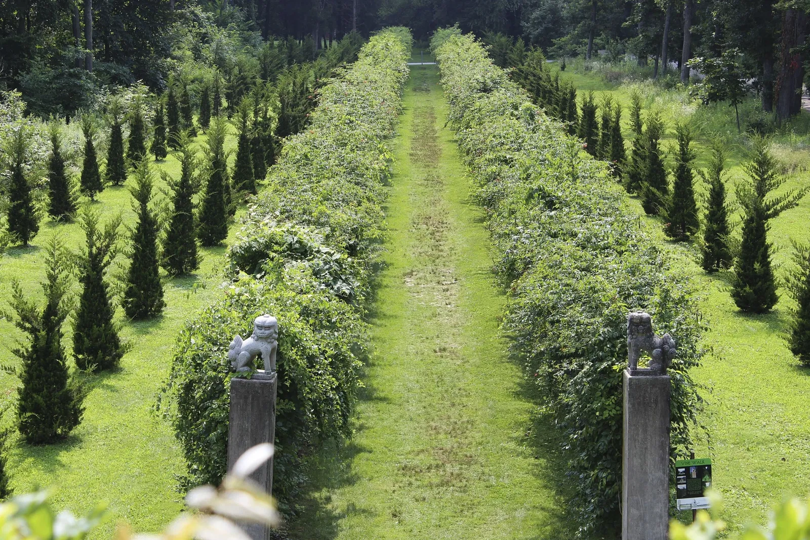 Parque Robert Allerton