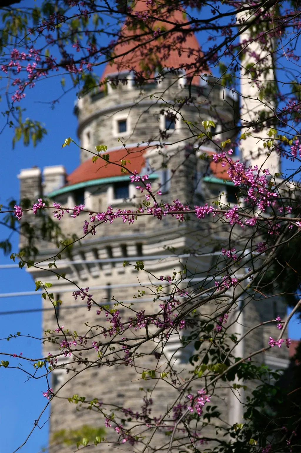 Casa Loma