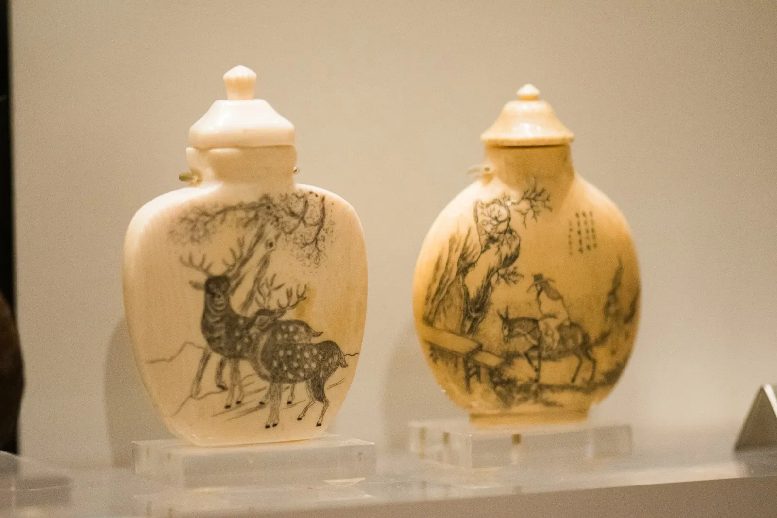 Musée royal de l'Ontario