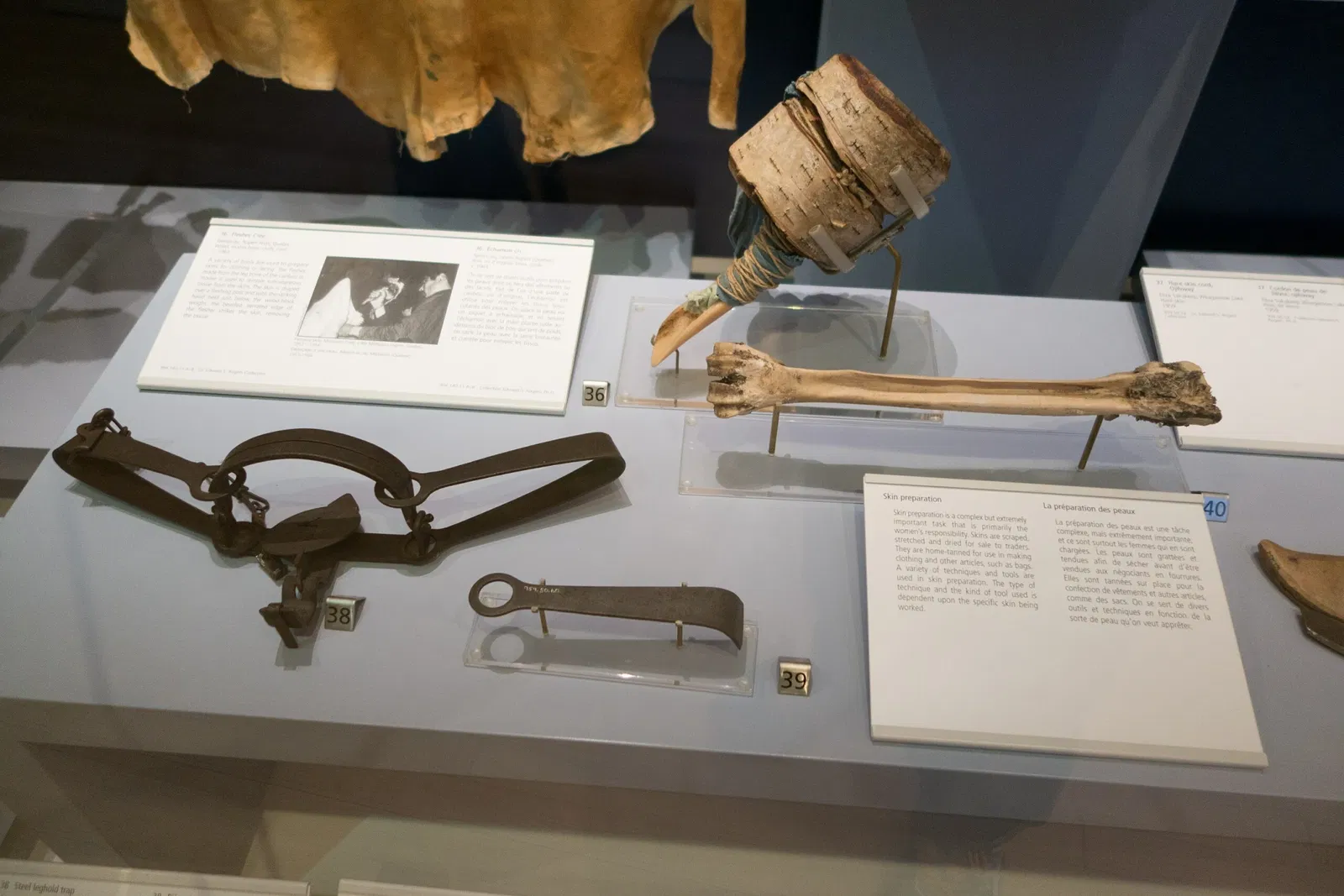 Musée royal de l'Ontario