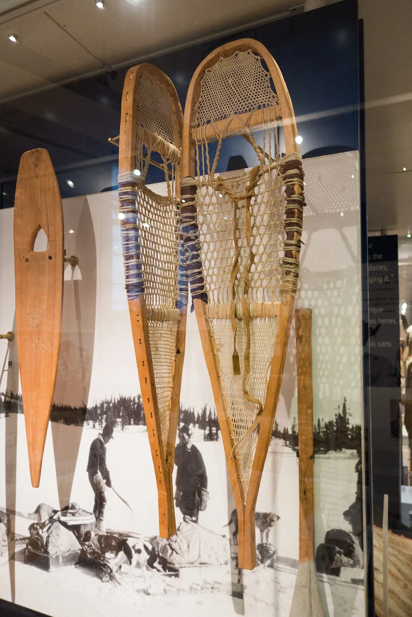 Museo Real de Ontario