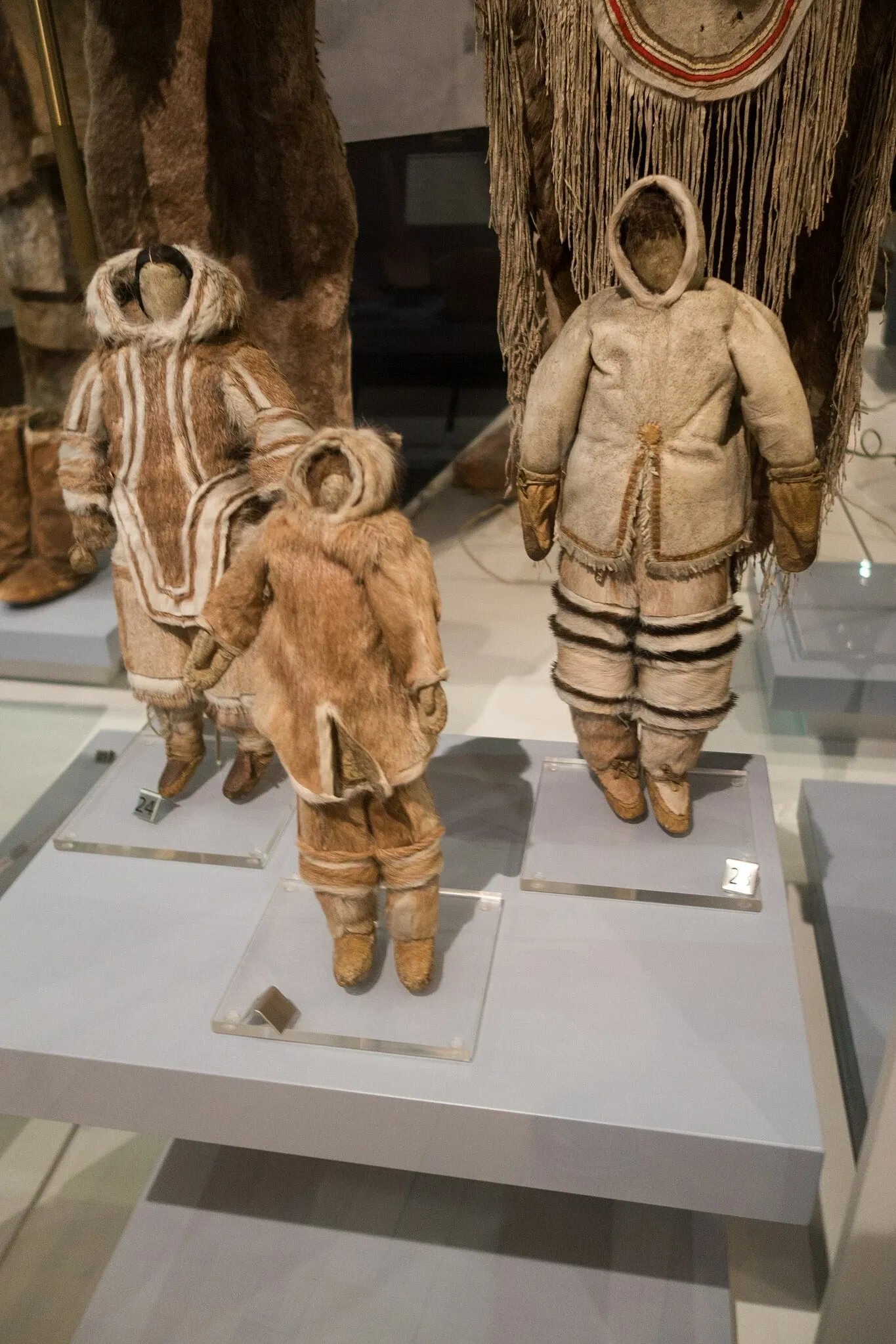 Royal Ontario Museum