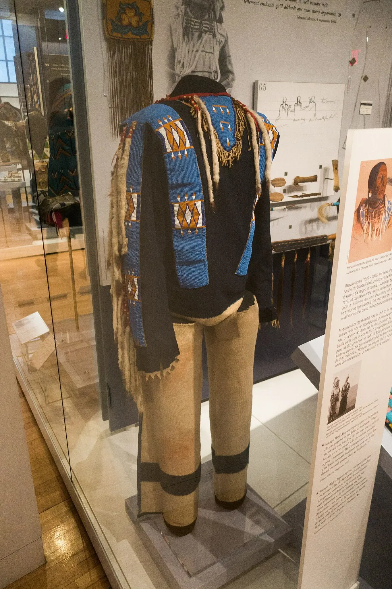 Musée royal de l'Ontario