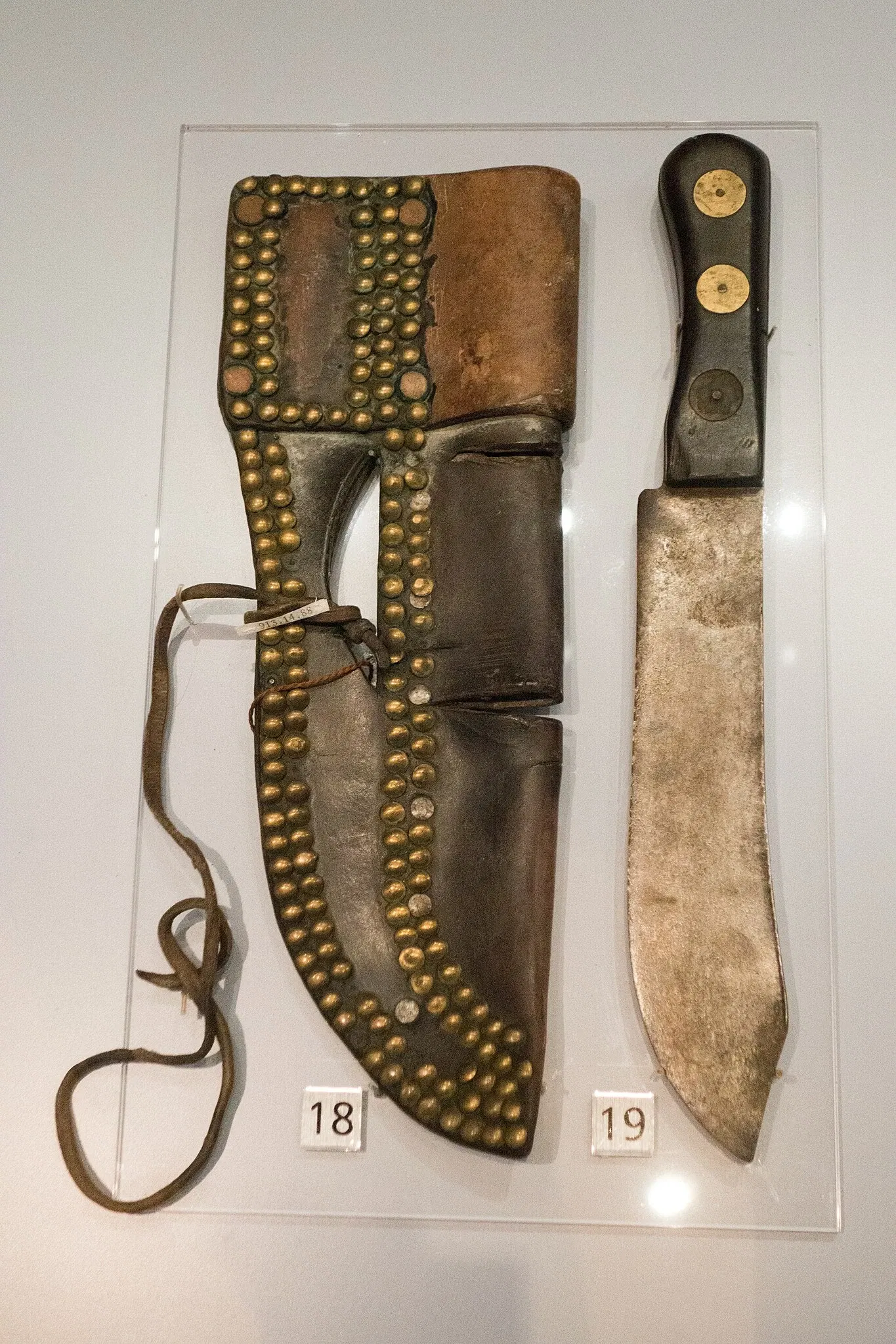 Royal Ontario Museum