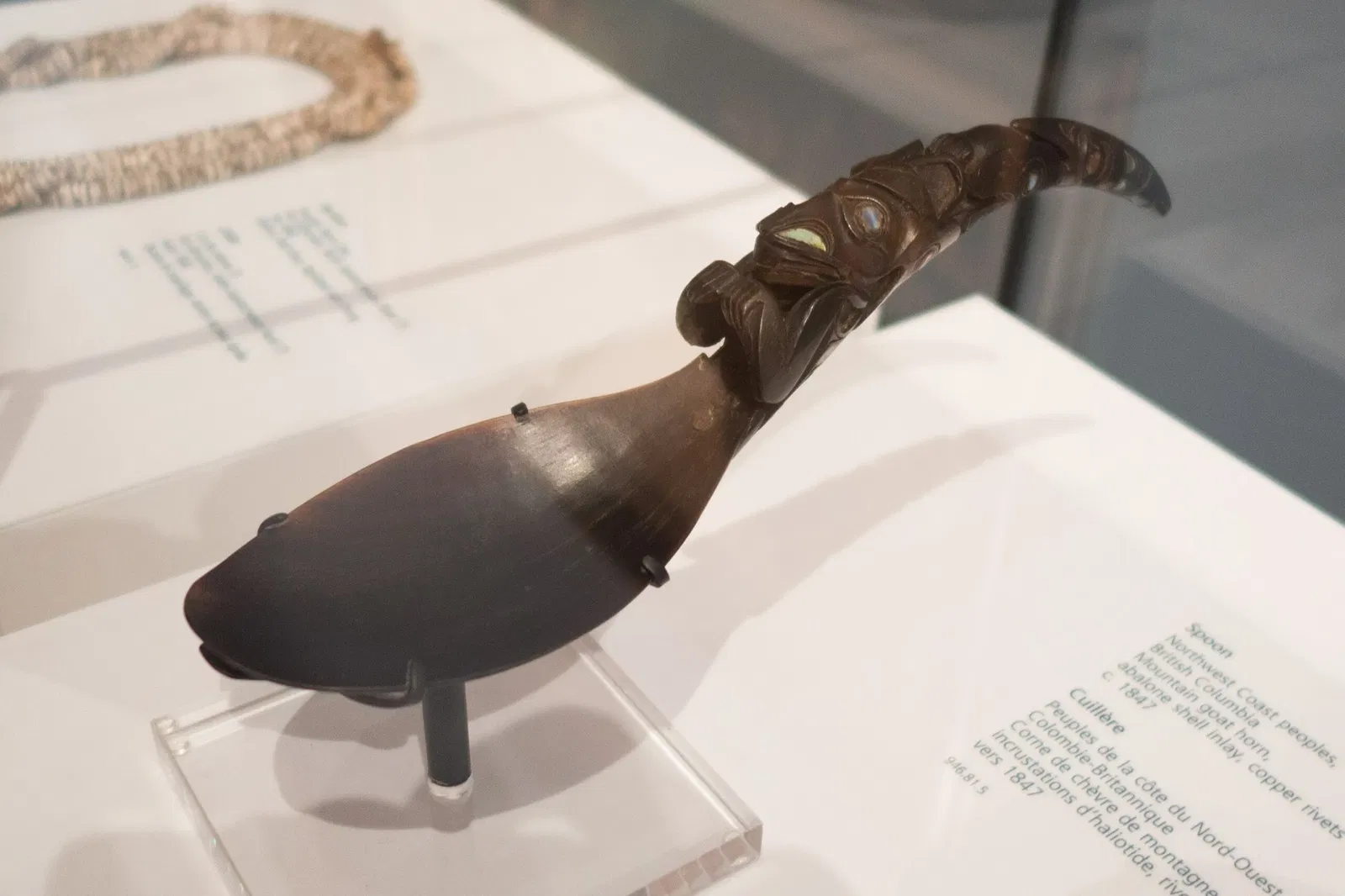 Royal Ontario Museum