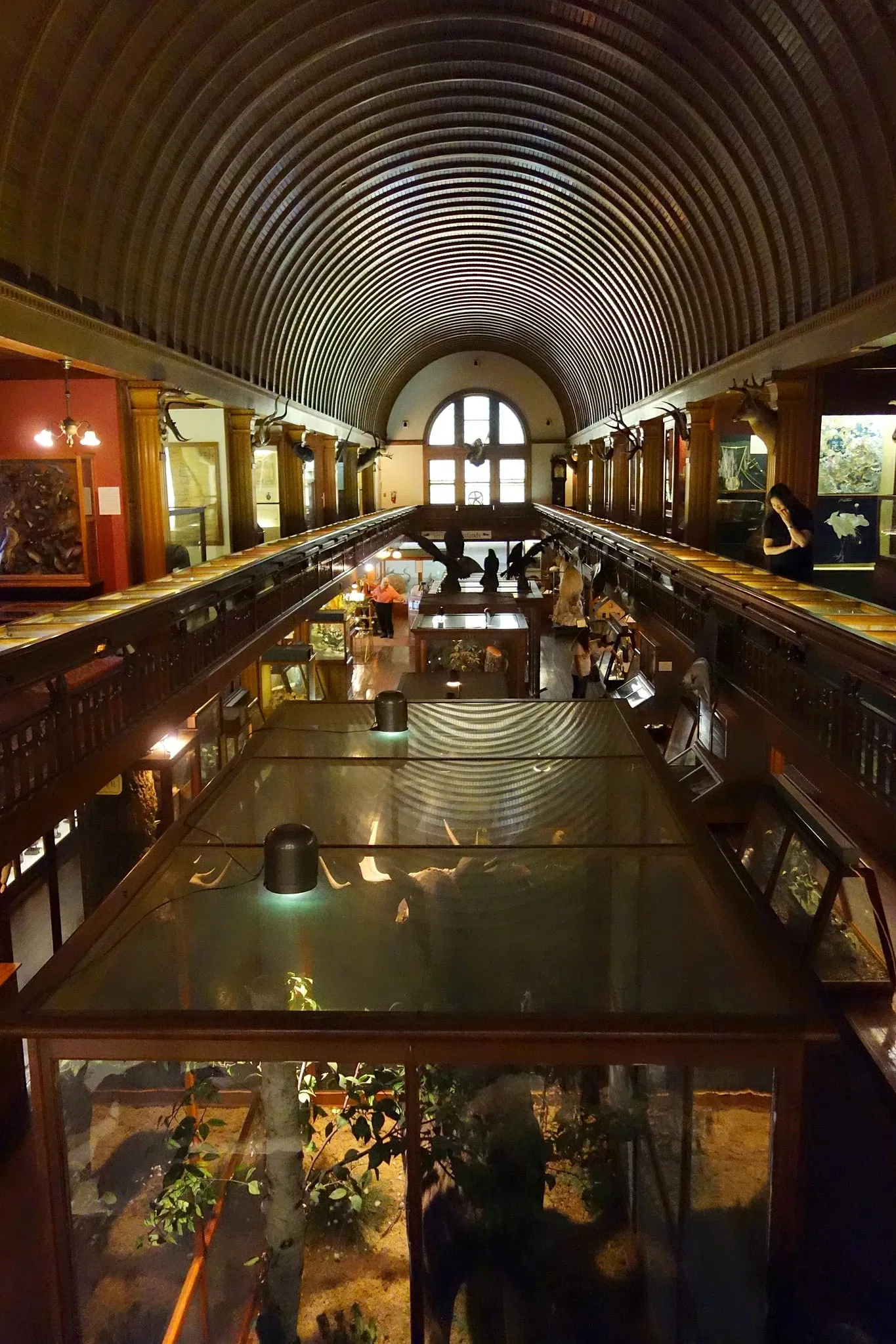 Fairbanks Museum and Planetarium