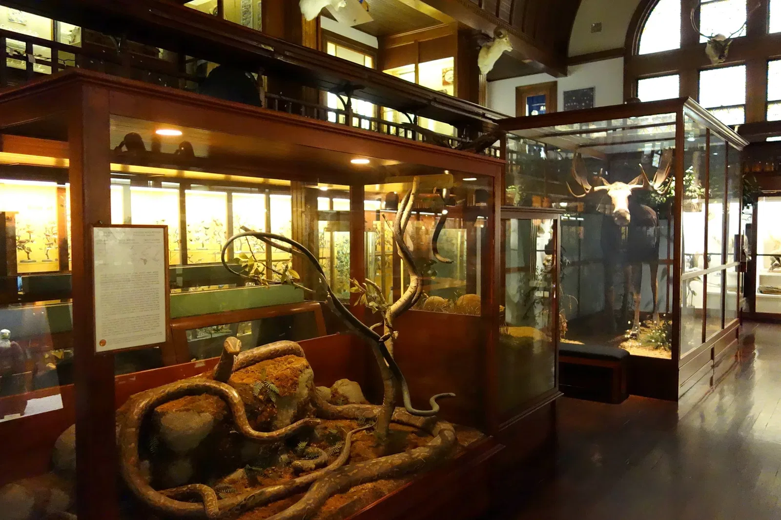 Fairbanks Museum and Planetarium