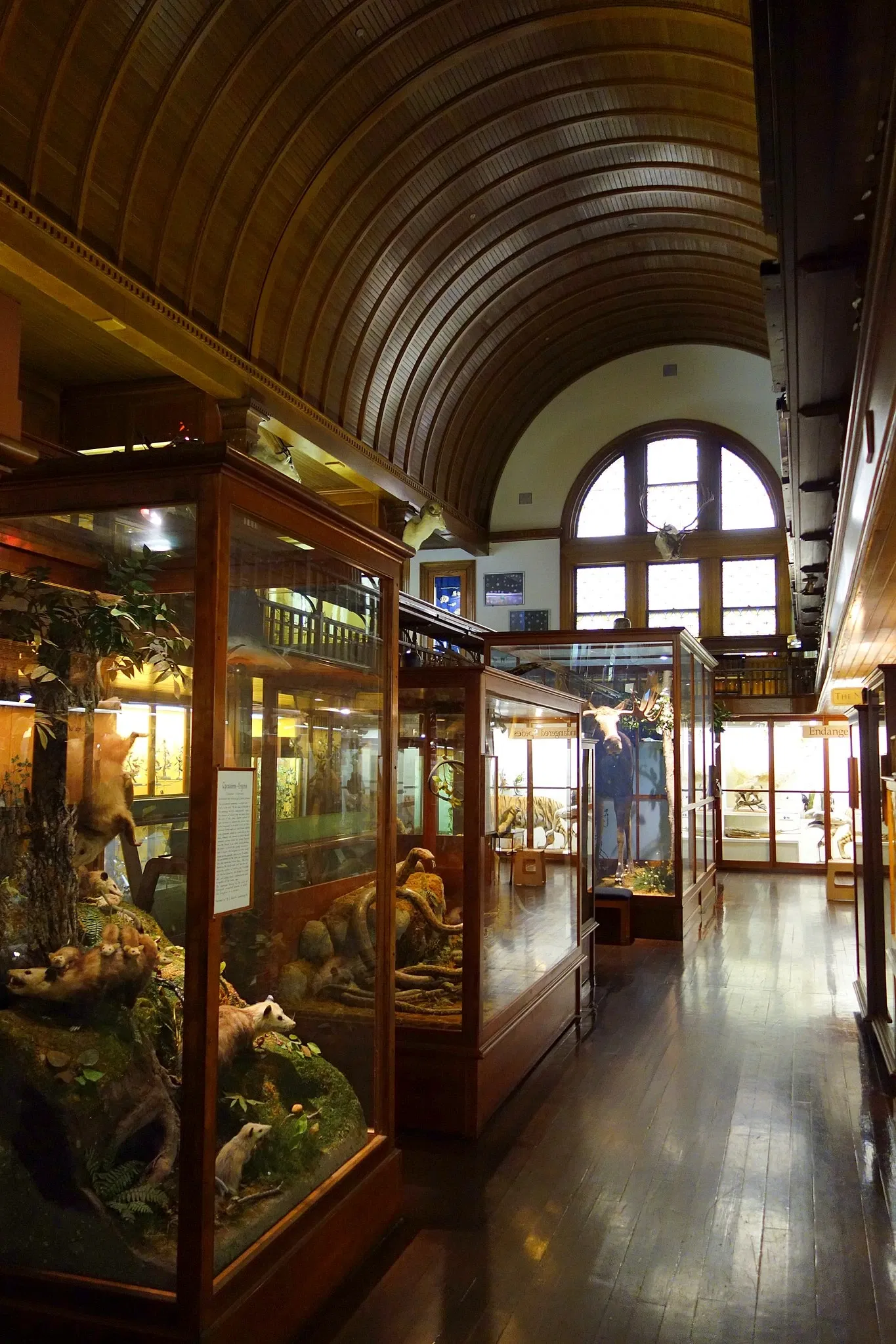 Fairbanks Museum and Planetarium