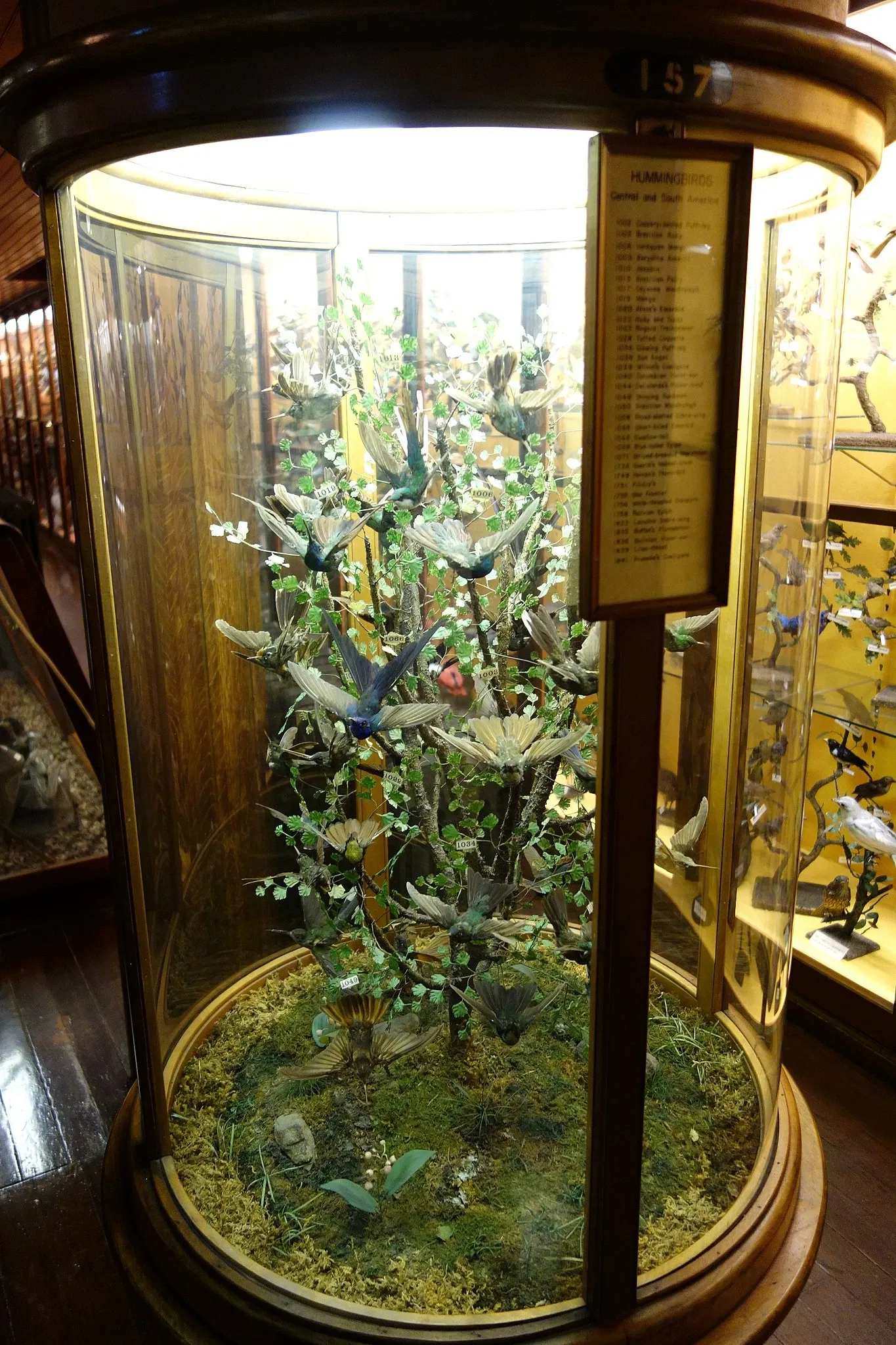 Fairbanks Museum and Planetarium