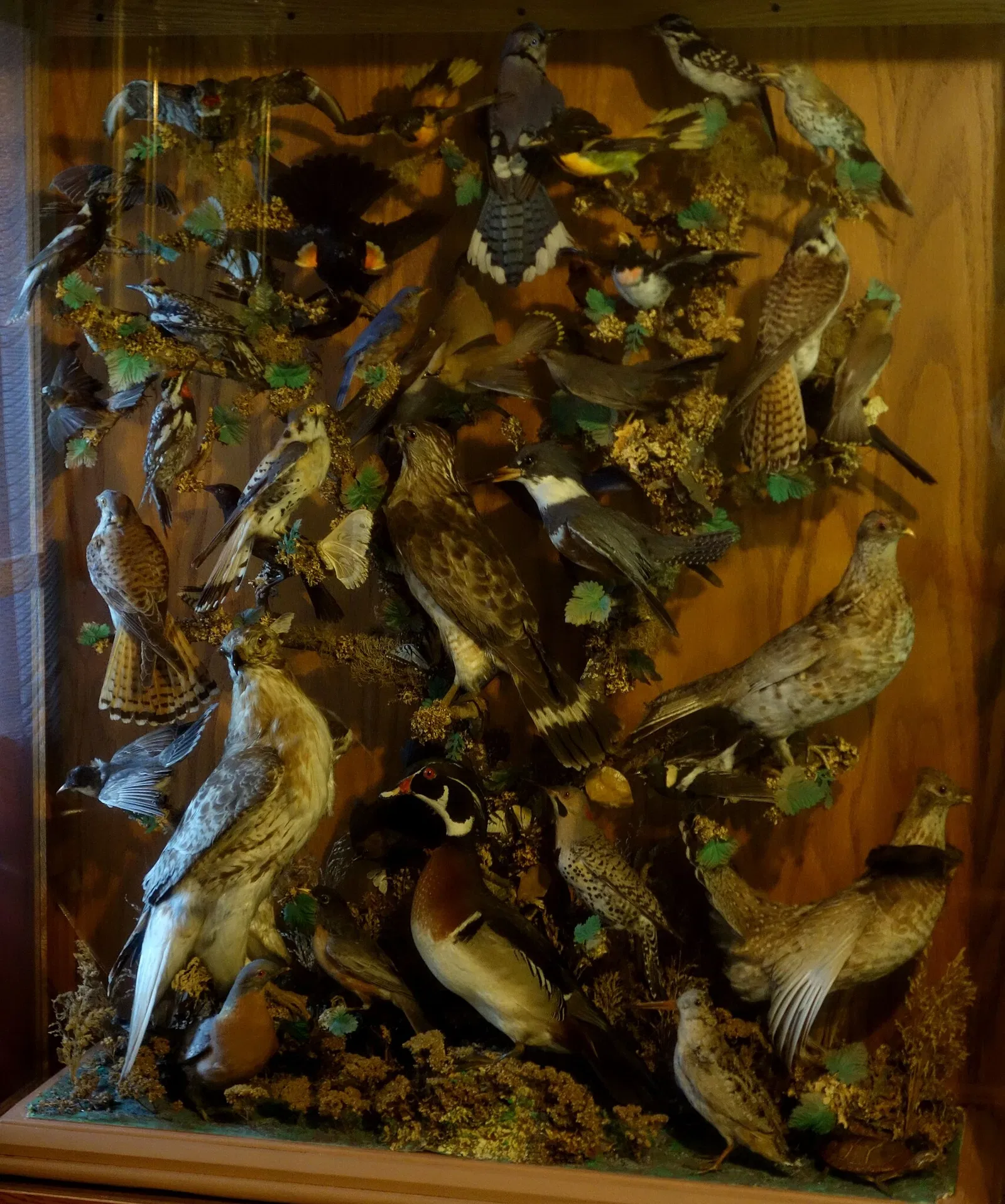 Fairbanks Museum and Planetarium