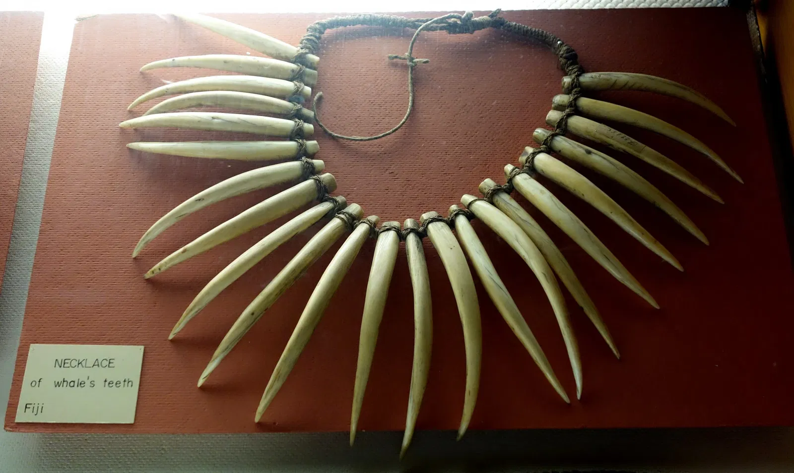 Fairbanks Museum and Planetarium