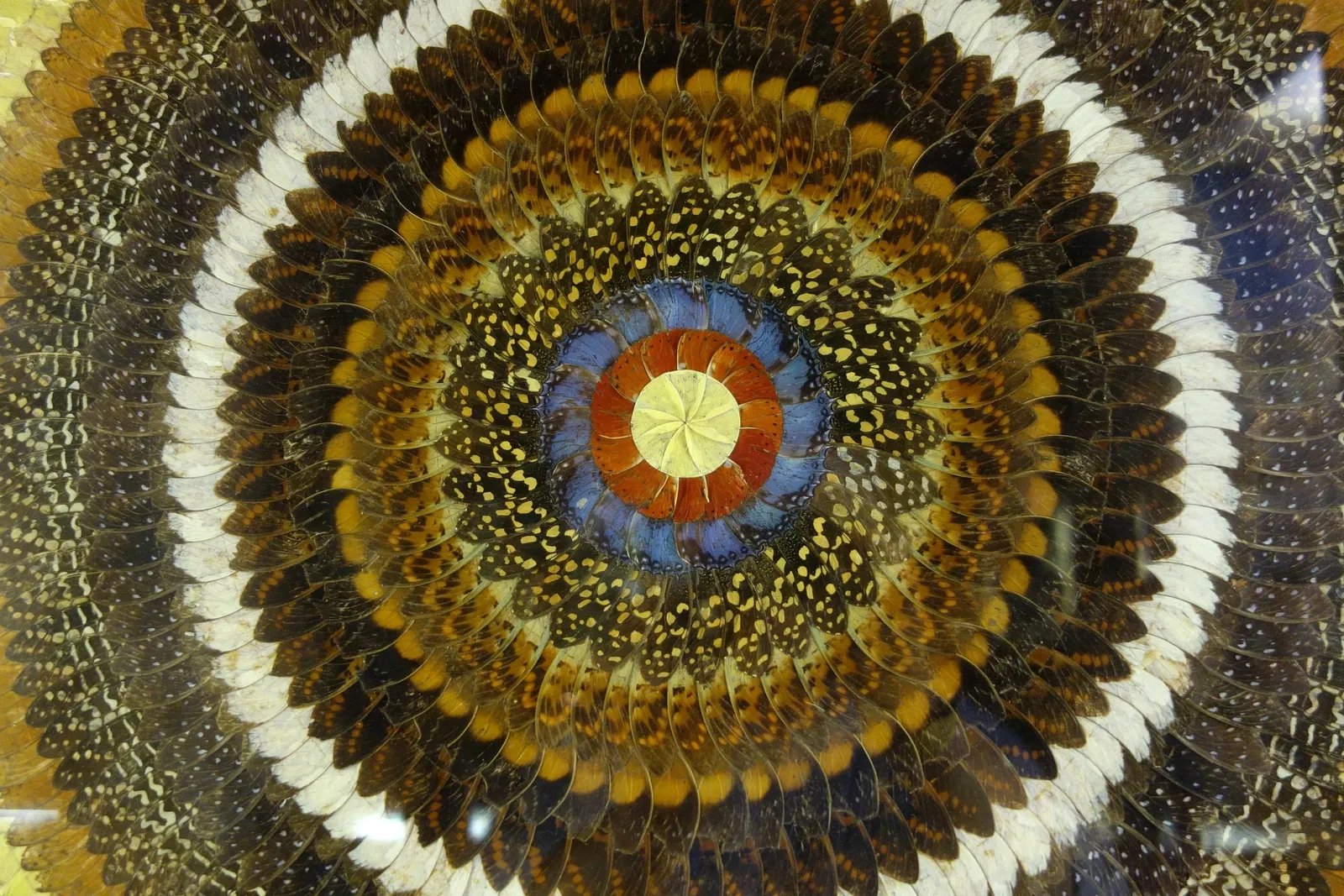 Fairbanks Museum and Planetarium