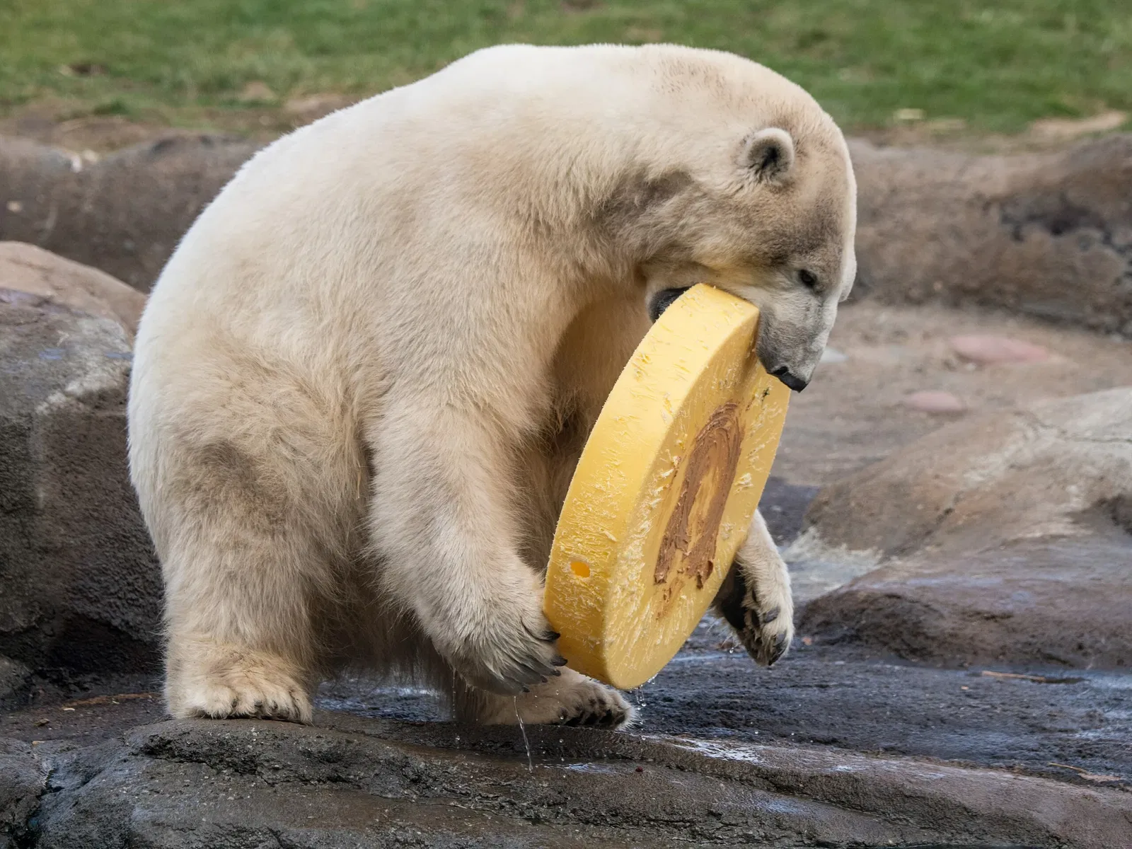 Columbus Zoo and Aquarium