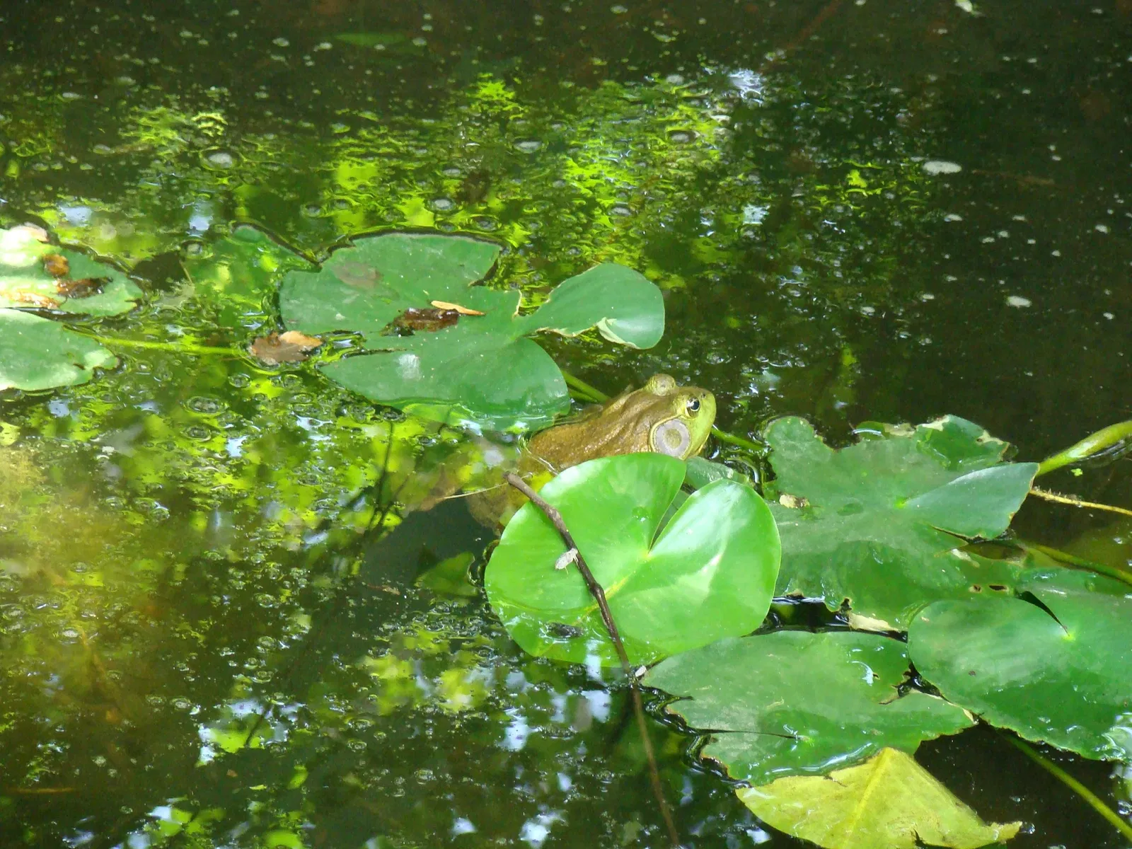 Columbus Zoo and Aquarium