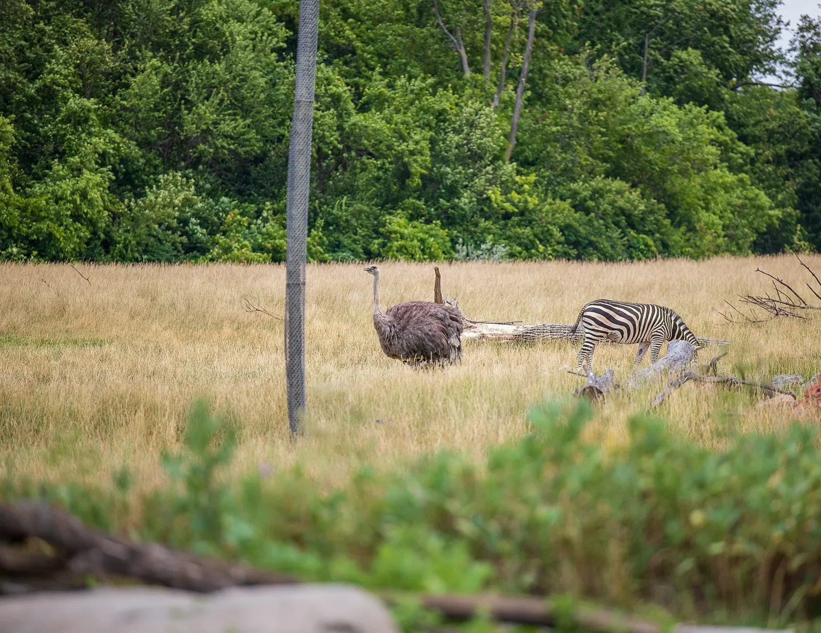 Columbus Zoo and Aquarium