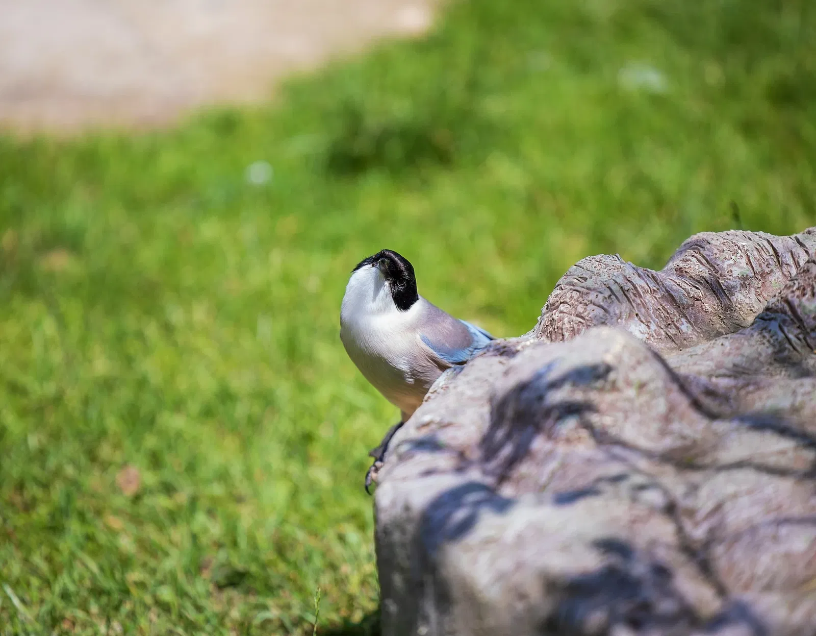 Columbus Zoo and Aquarium