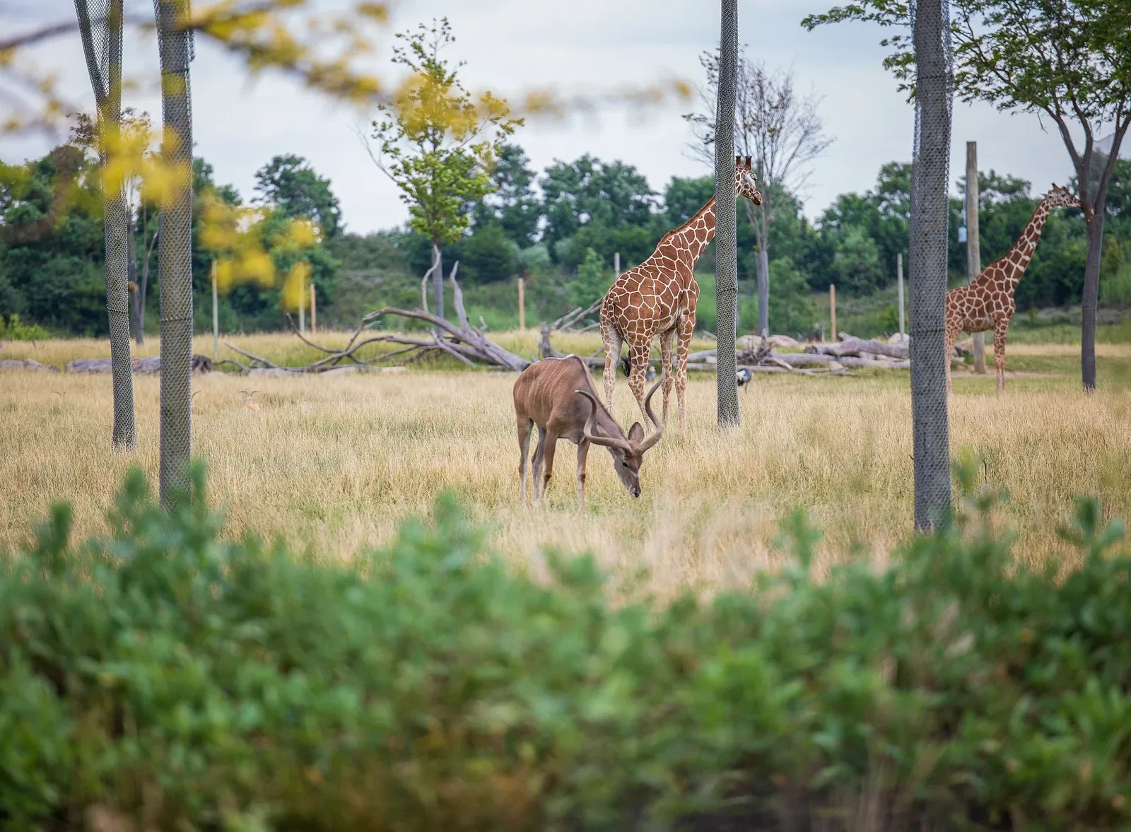 Columbus Zoo and Aquarium