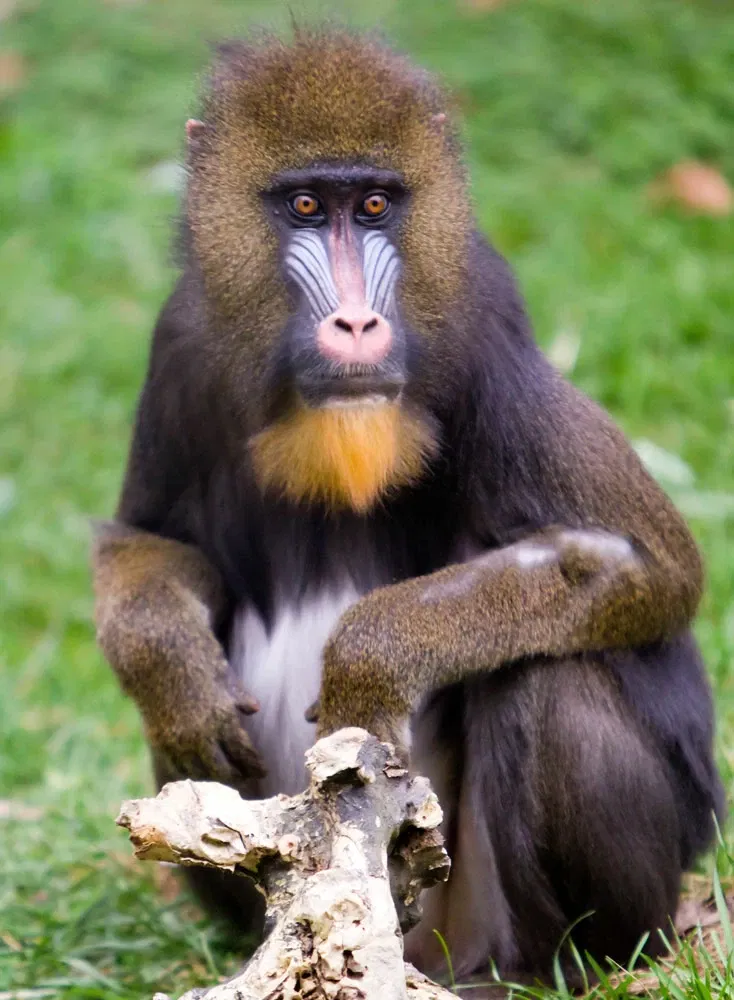 Columbus Zoo and Aquarium