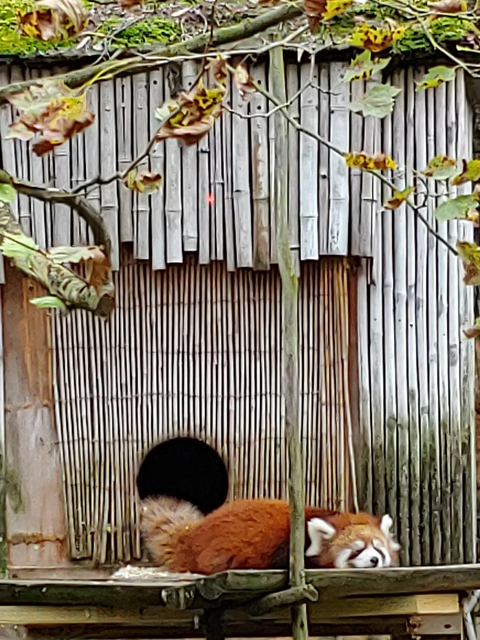 Columbus Zoo and Aquarium