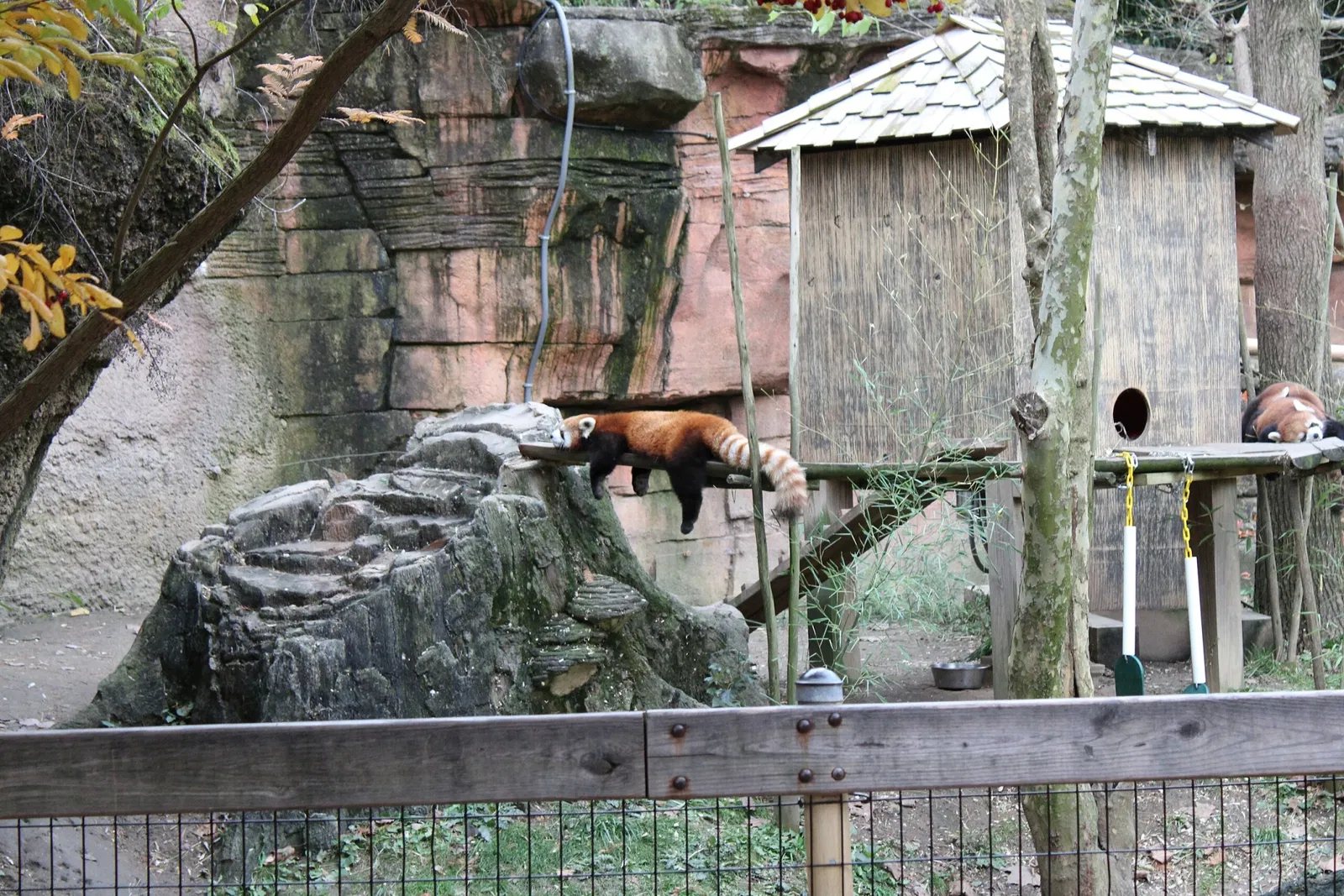 Columbus Zoo and Aquarium