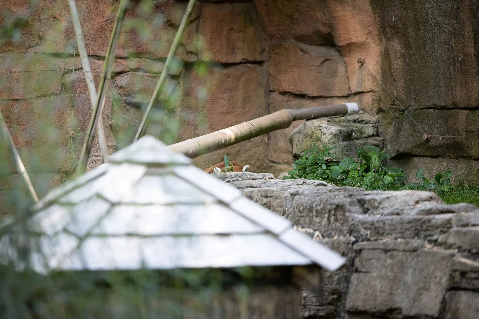 Columbus Zoo and Aquarium