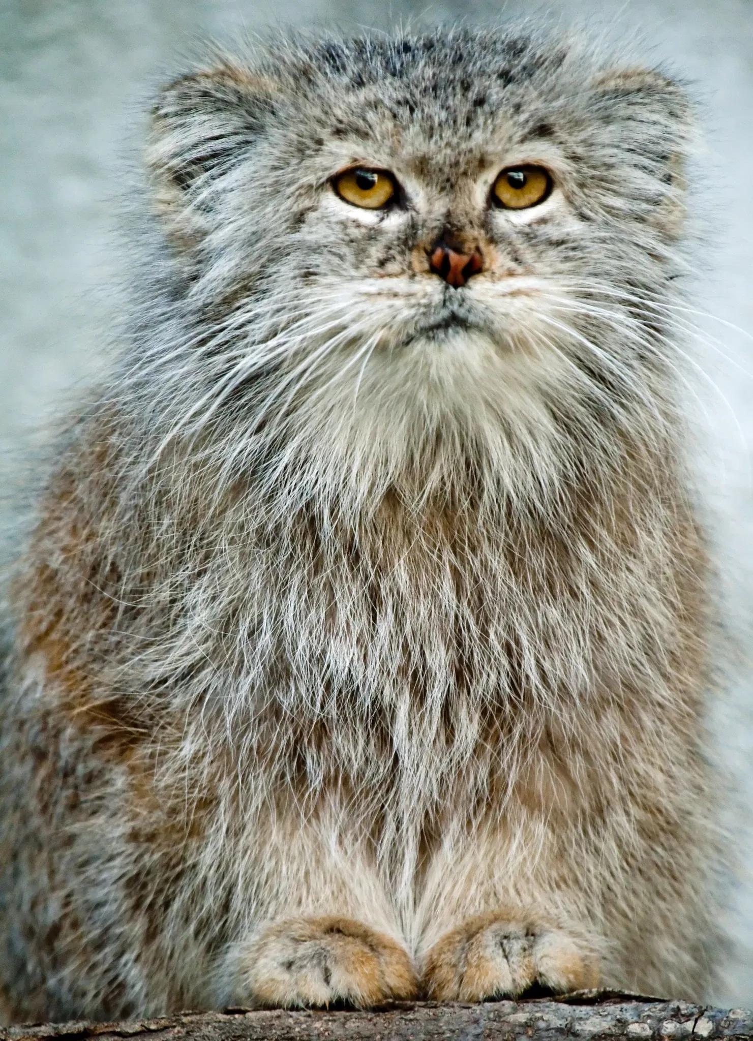 Columbus Zoo and Aquarium