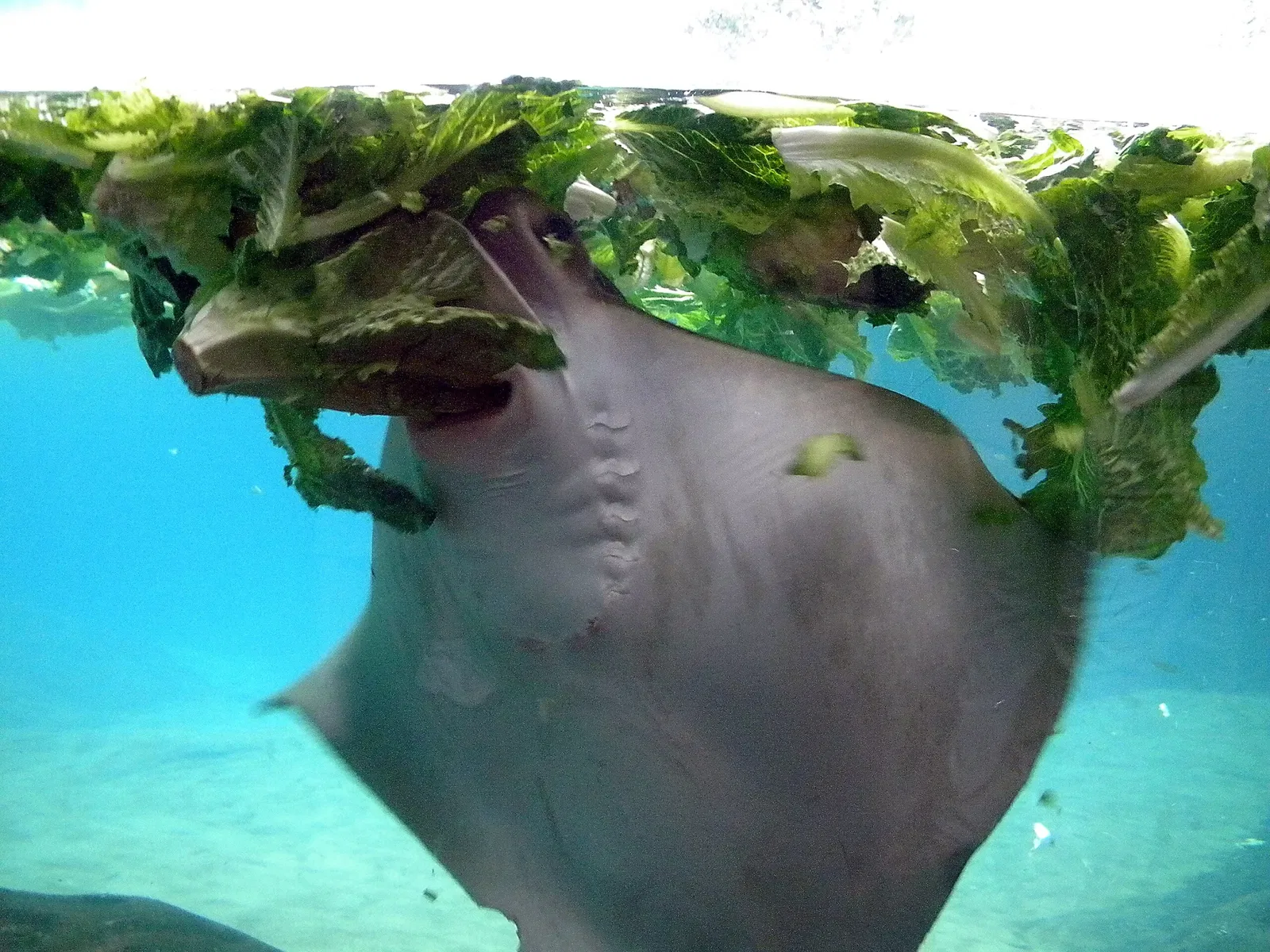 Columbus Zoo and Aquarium