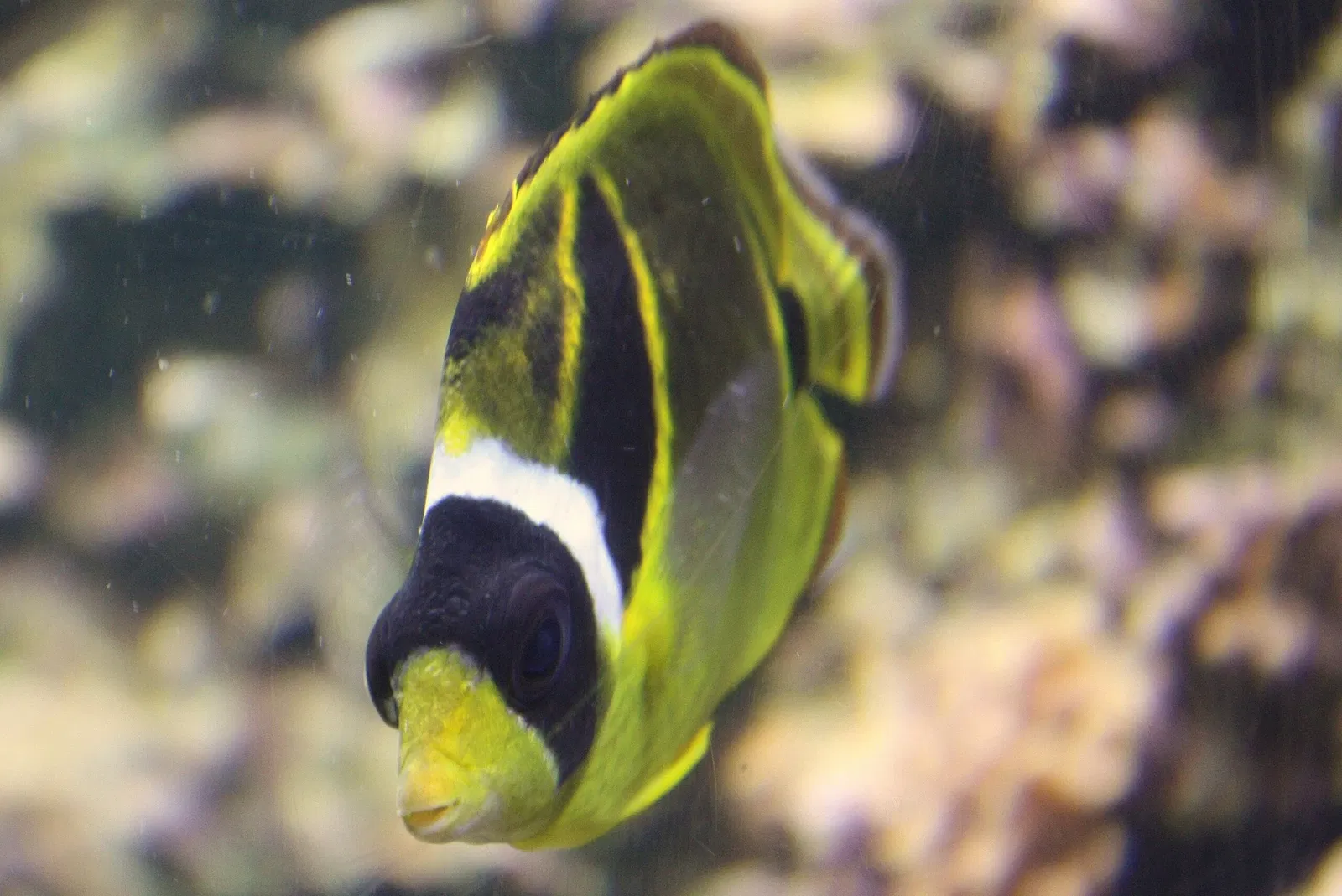 Columbus Zoo and Aquarium