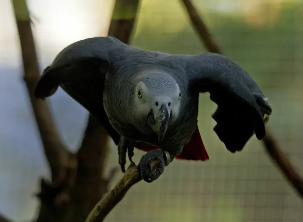 Columbus Zoo and Aquarium