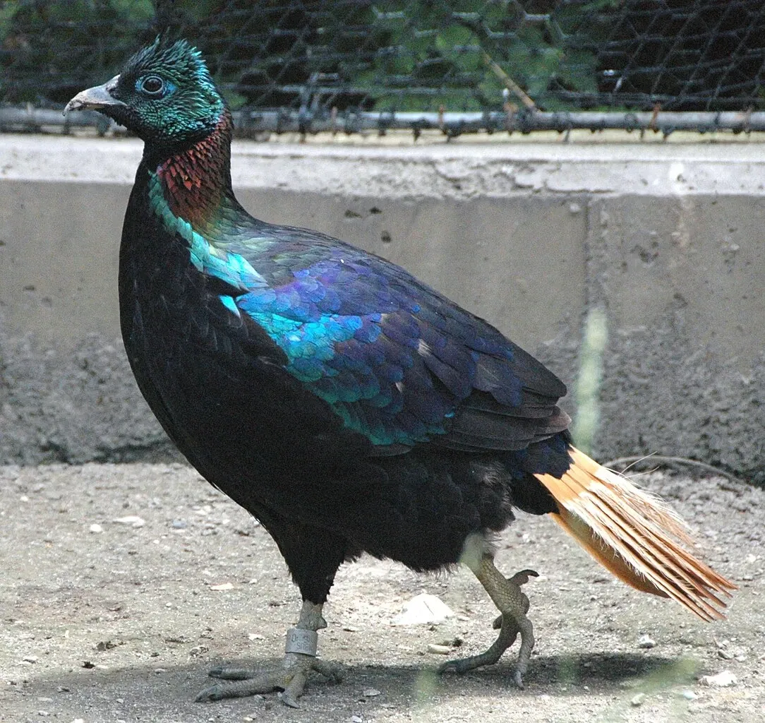 Columbus Zoo and Aquarium