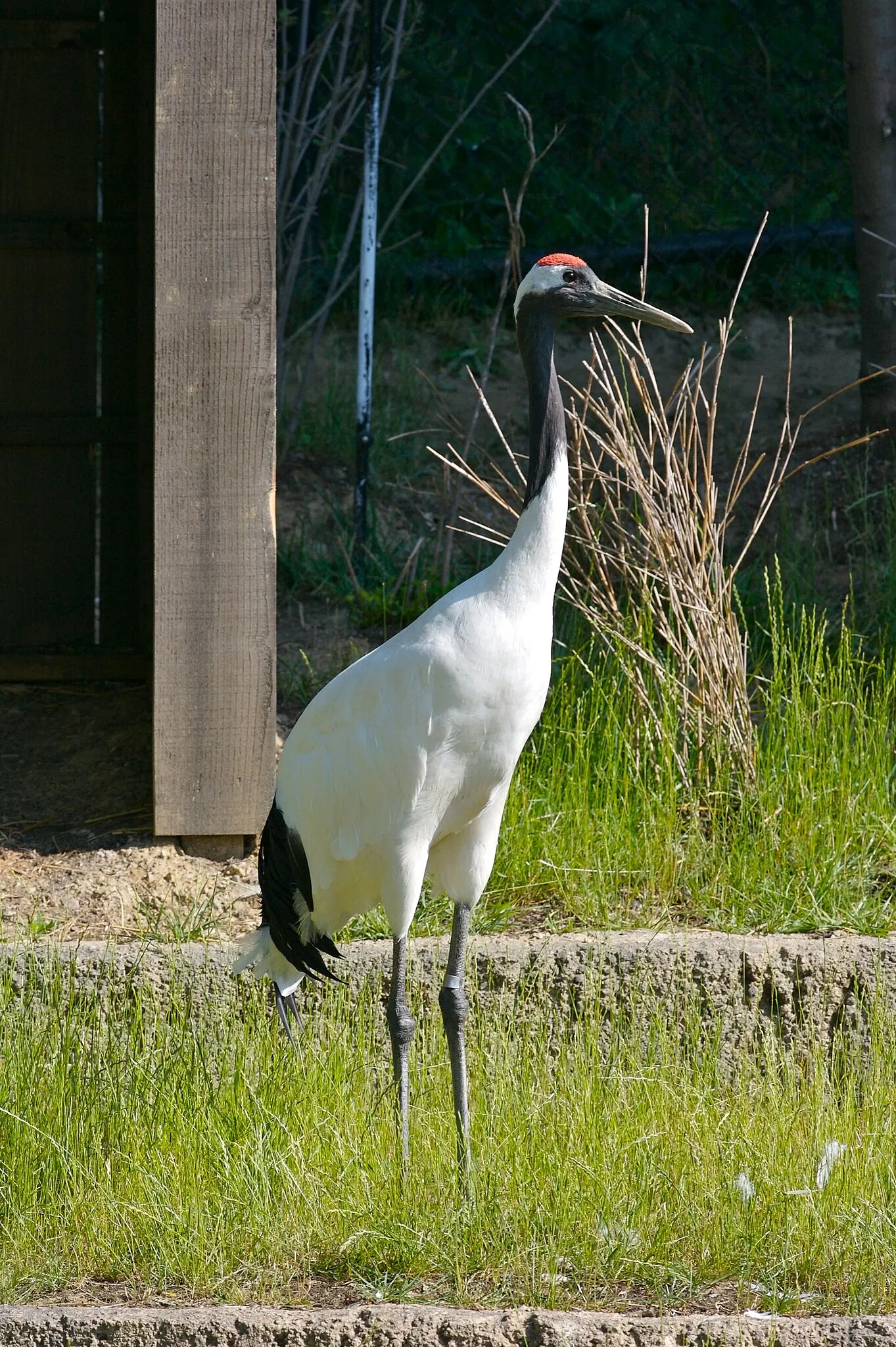 Columbus Zoo and Aquarium