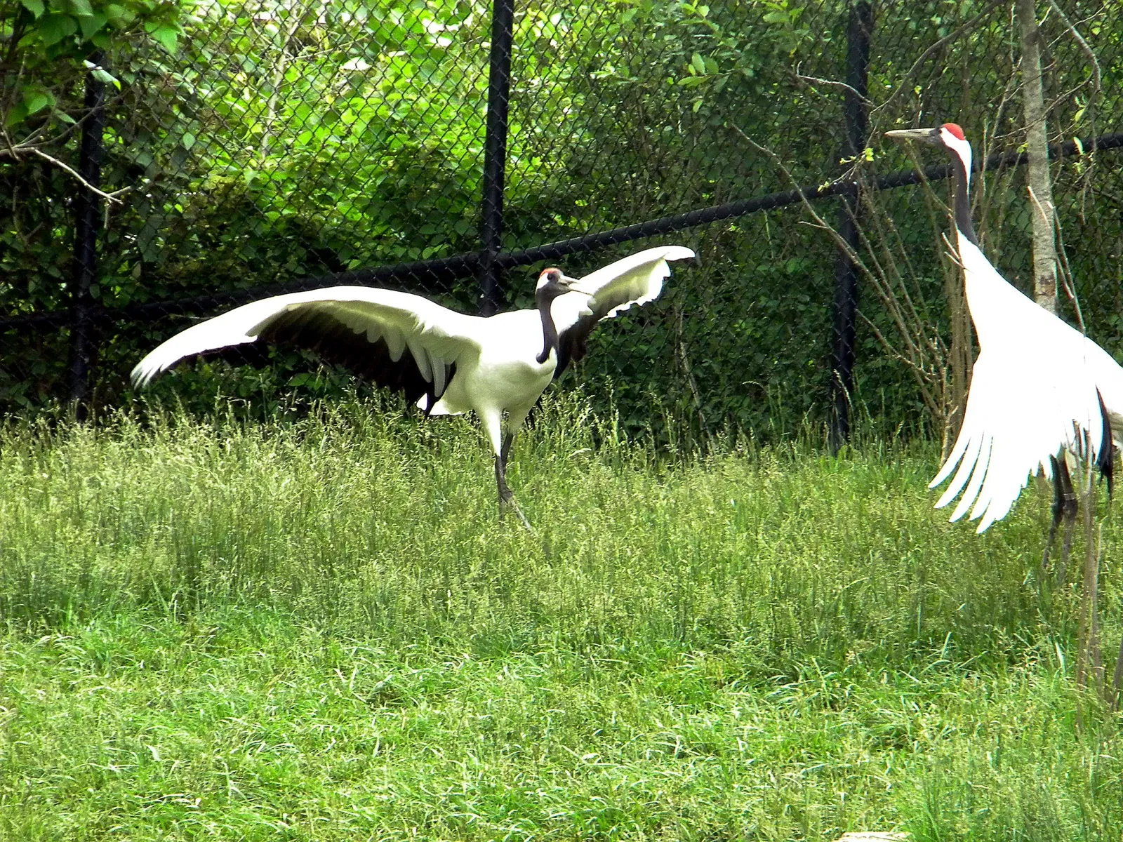 Columbus Zoo and Aquarium