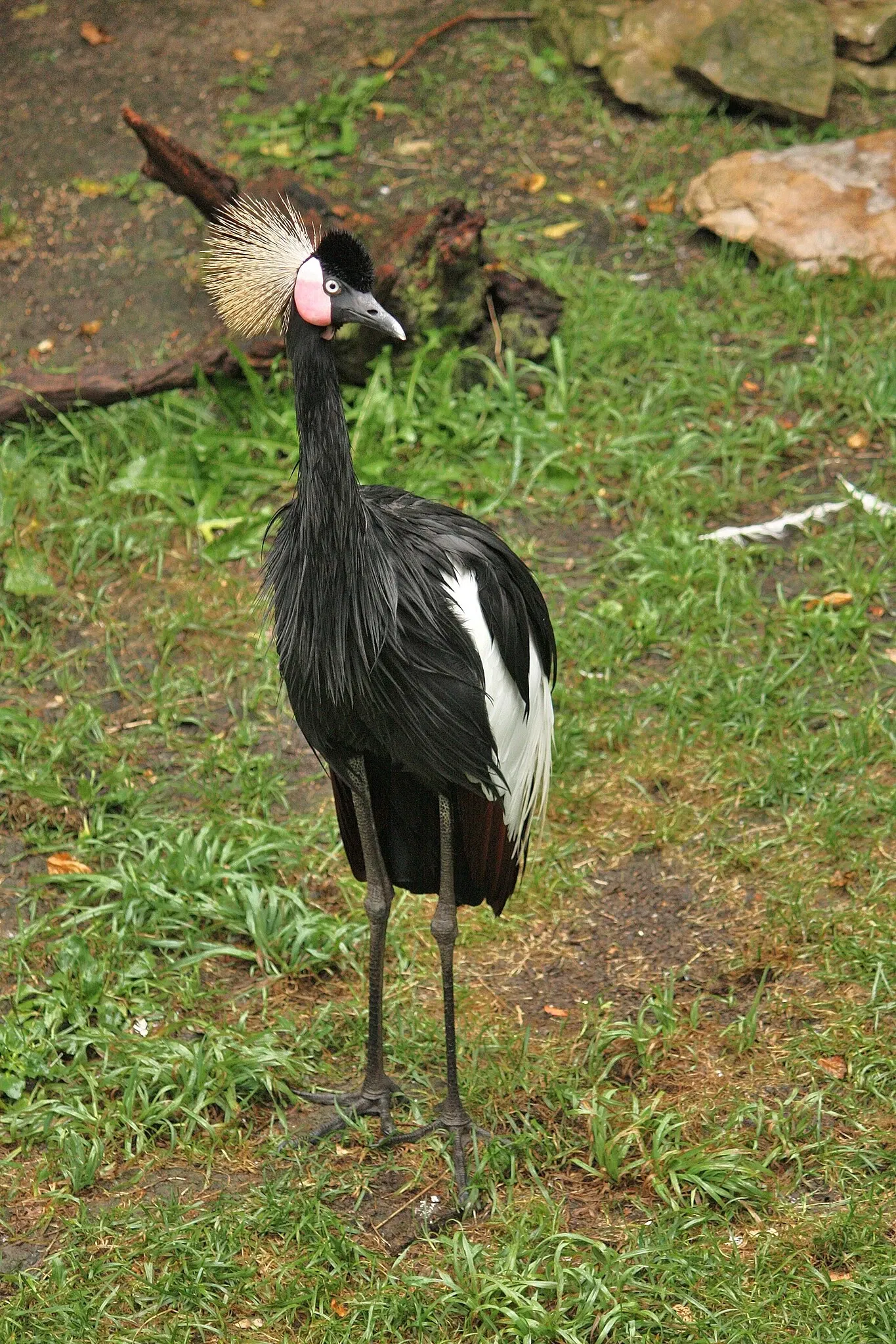 Columbus Zoo and Aquarium