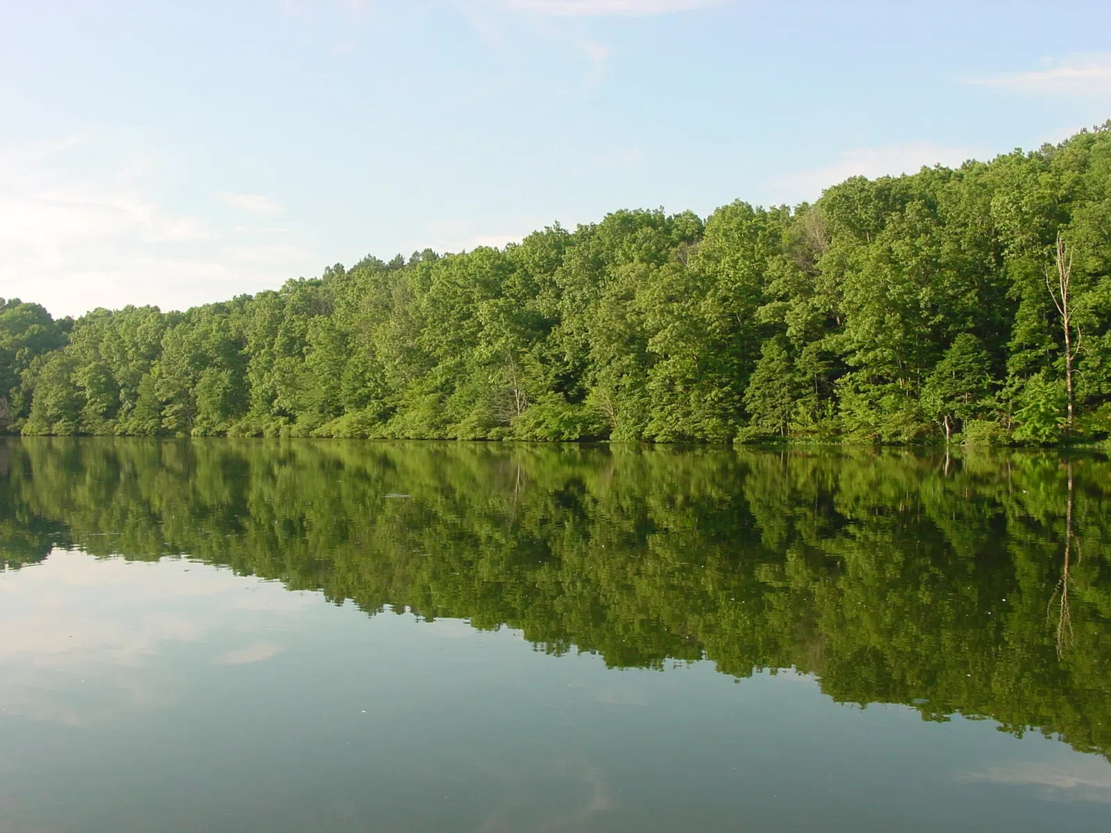 David Crockett State Park