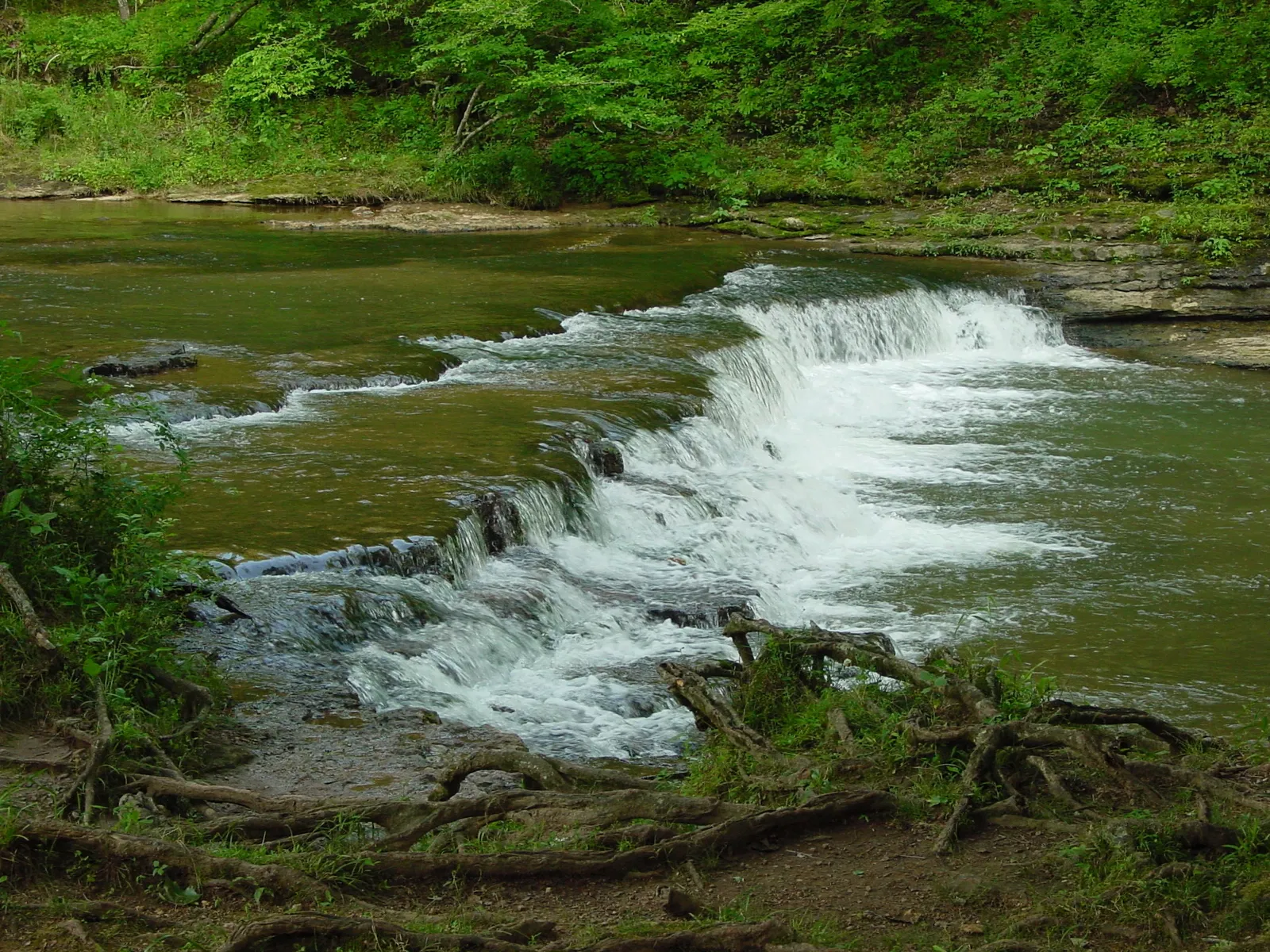 David Crockett State Park