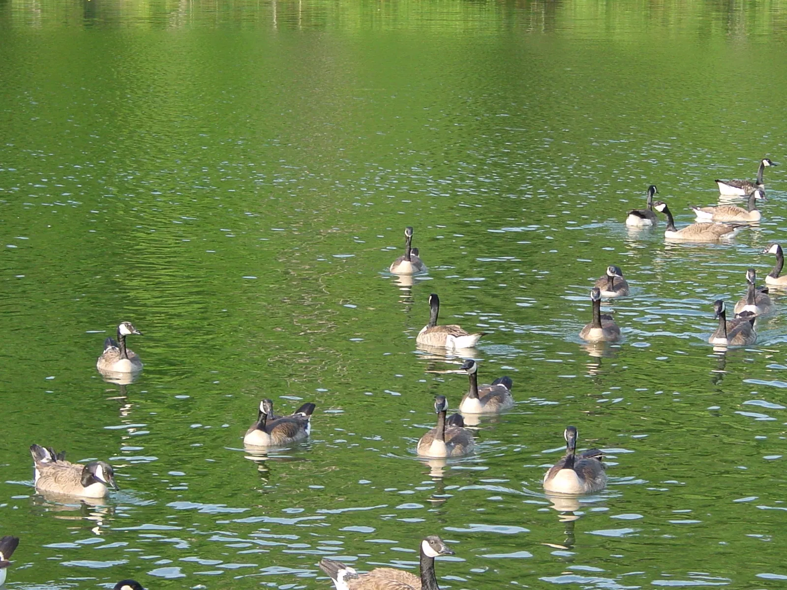 David Crockett State Park