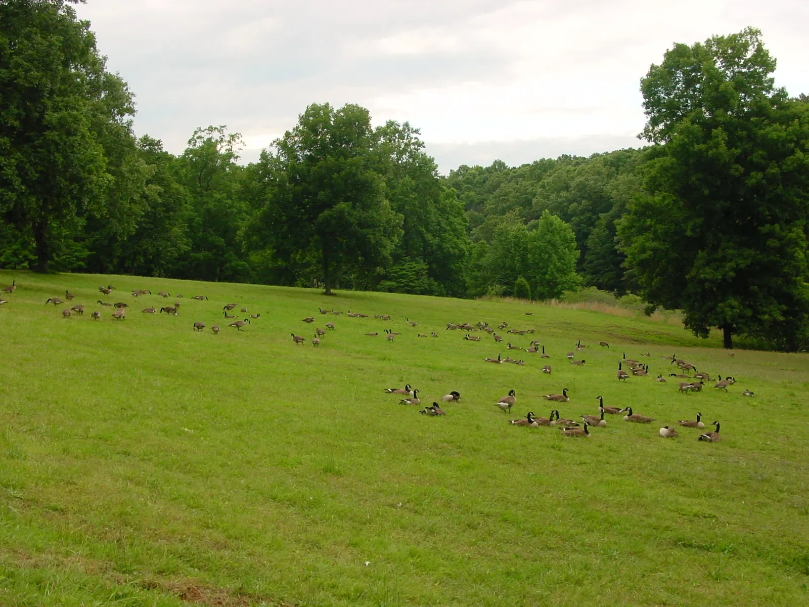 David Crockett State Park