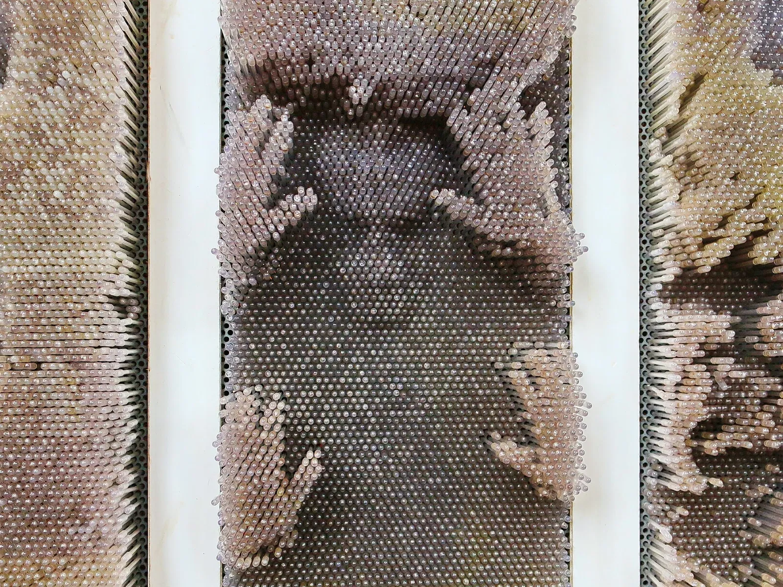 Manitoba Children's Museum